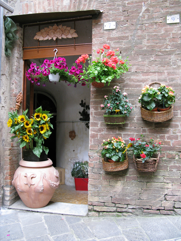 A Colourful Entrance to Number 7 in Sienna