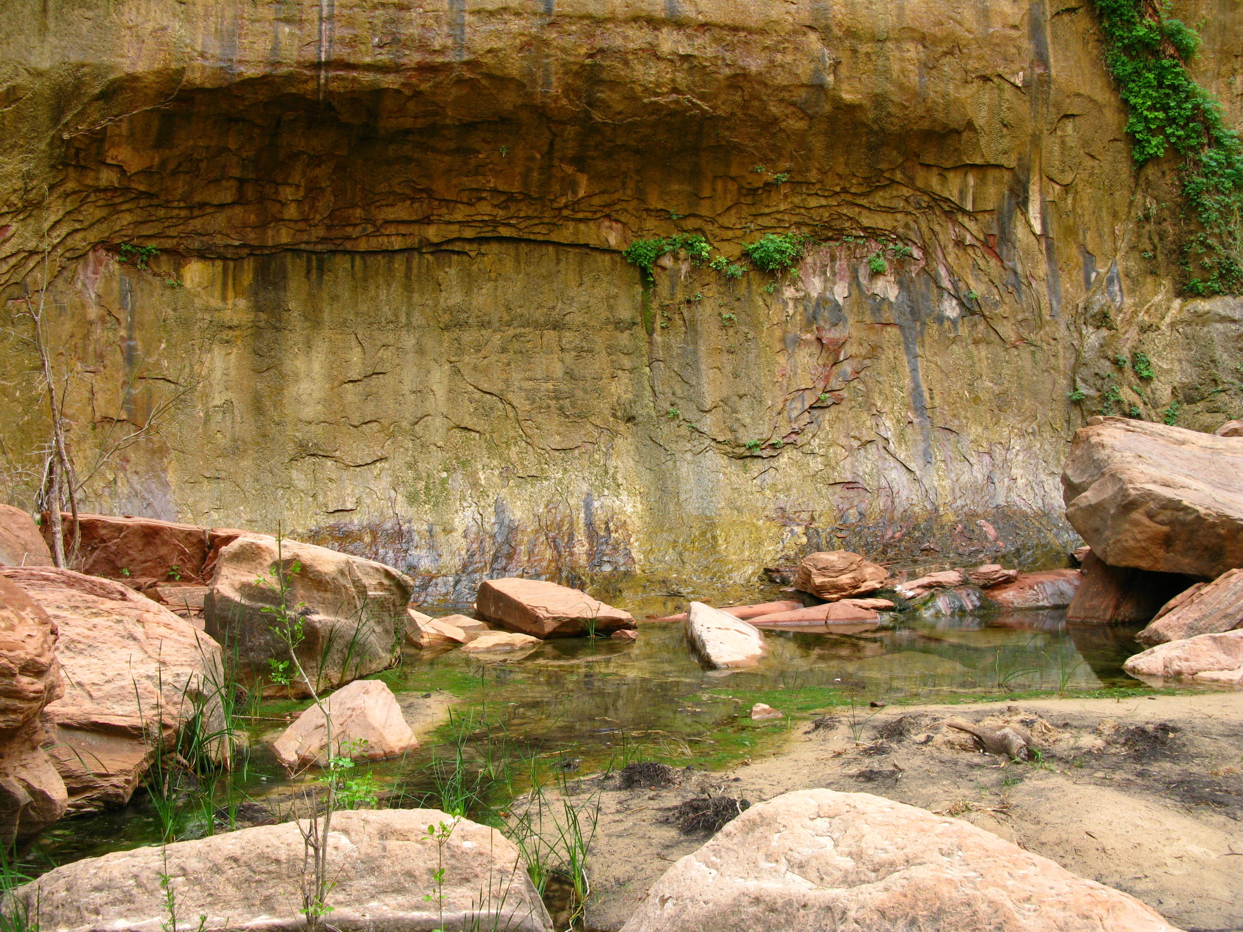 Zion Park Riverside Walk