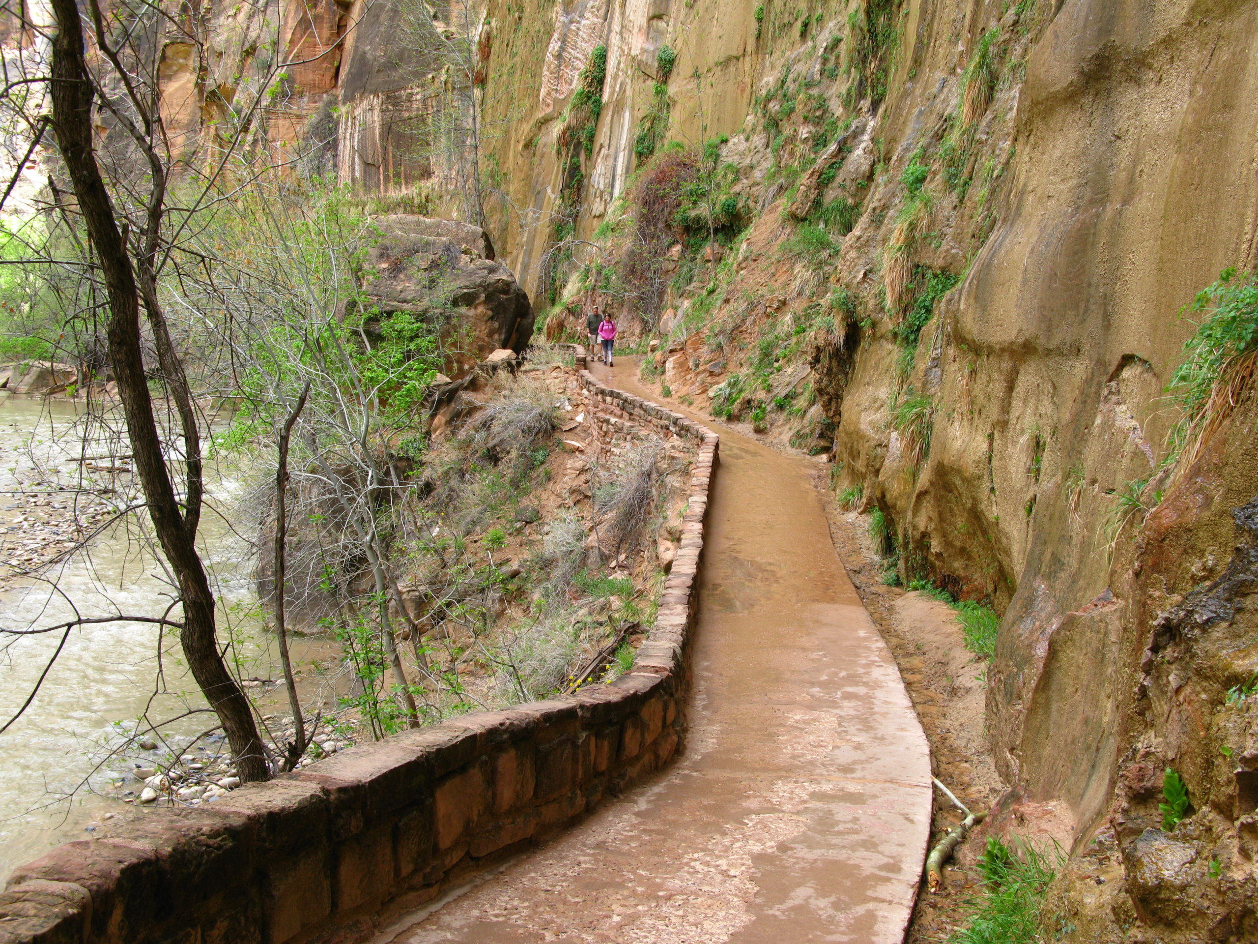 Zion Park Riverside Walk