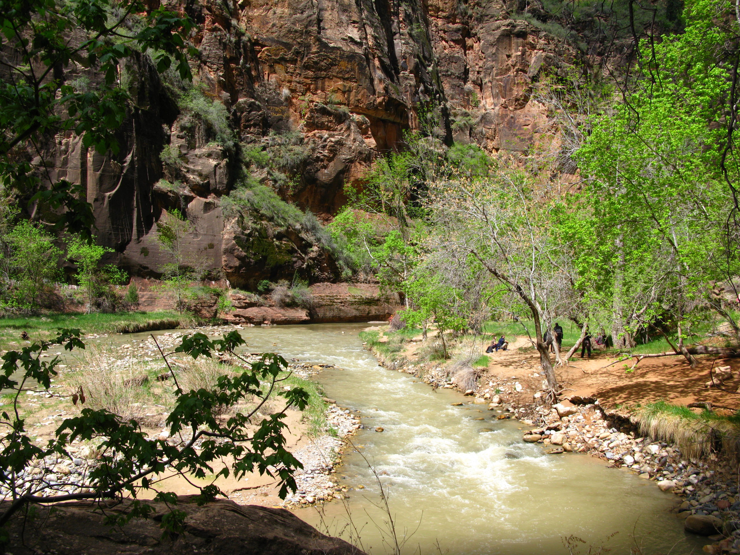 Zion Park Riverside Walk