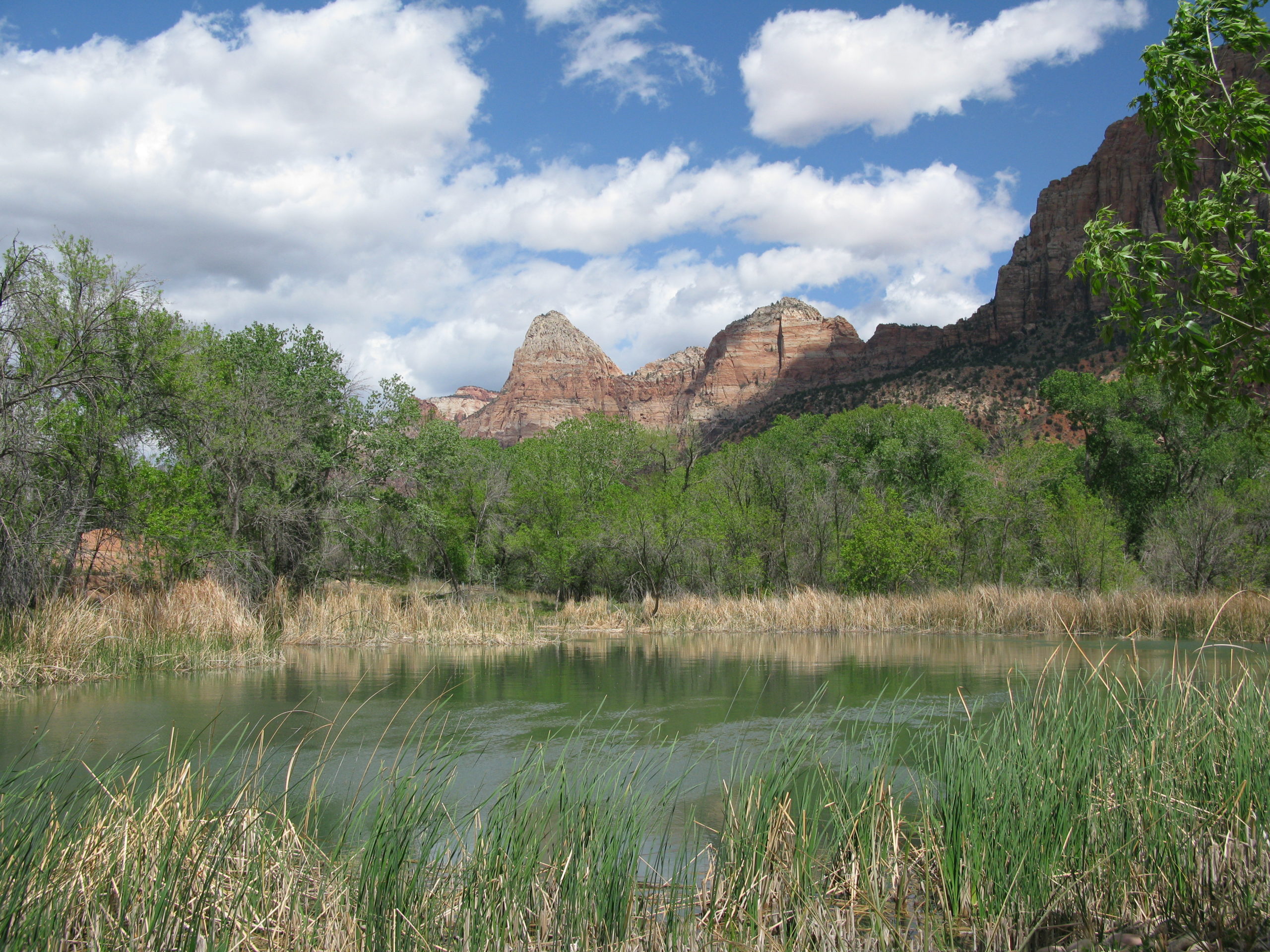 Springdale, Utah