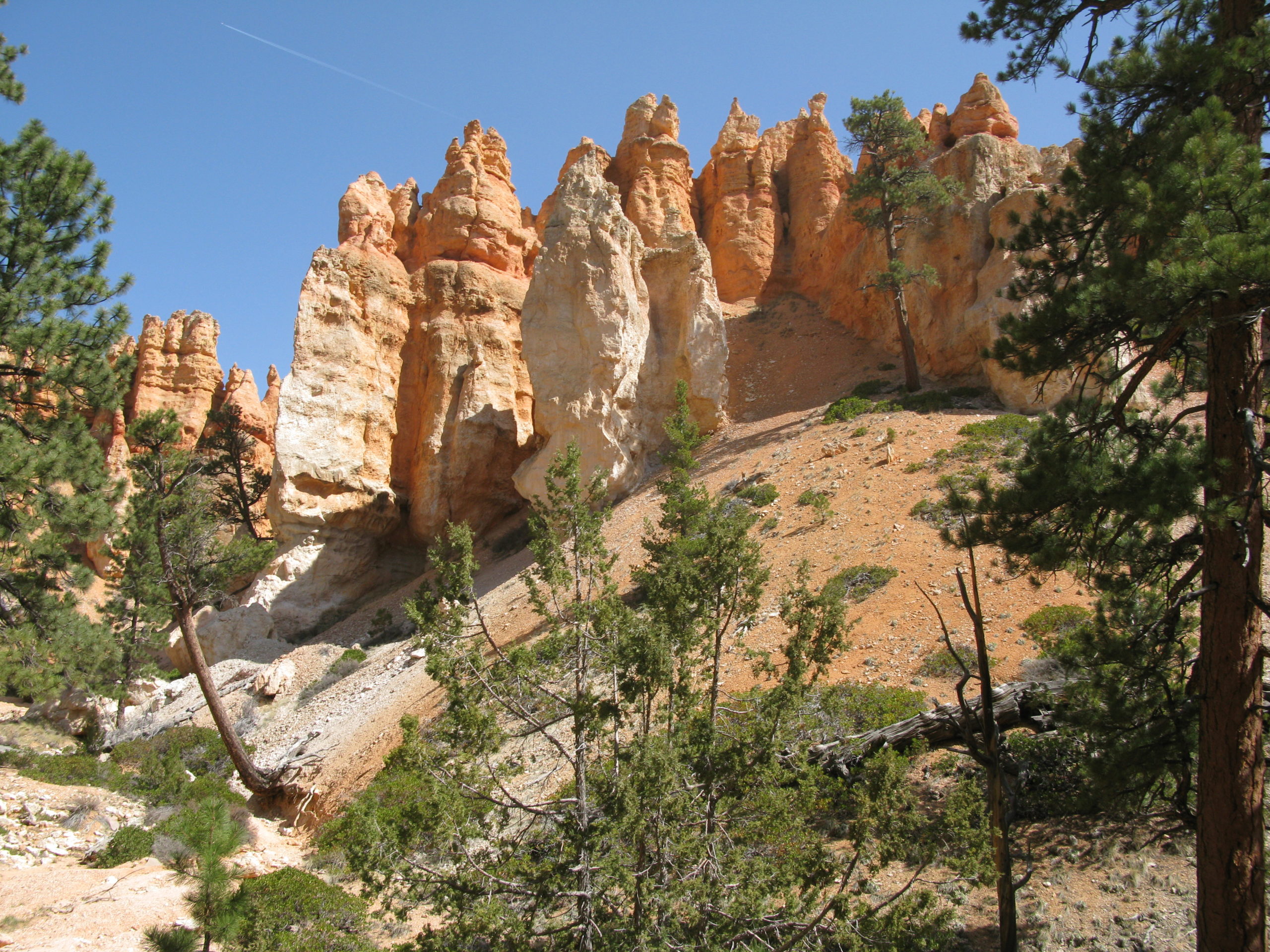 Bryce Canyon Horse Trail
