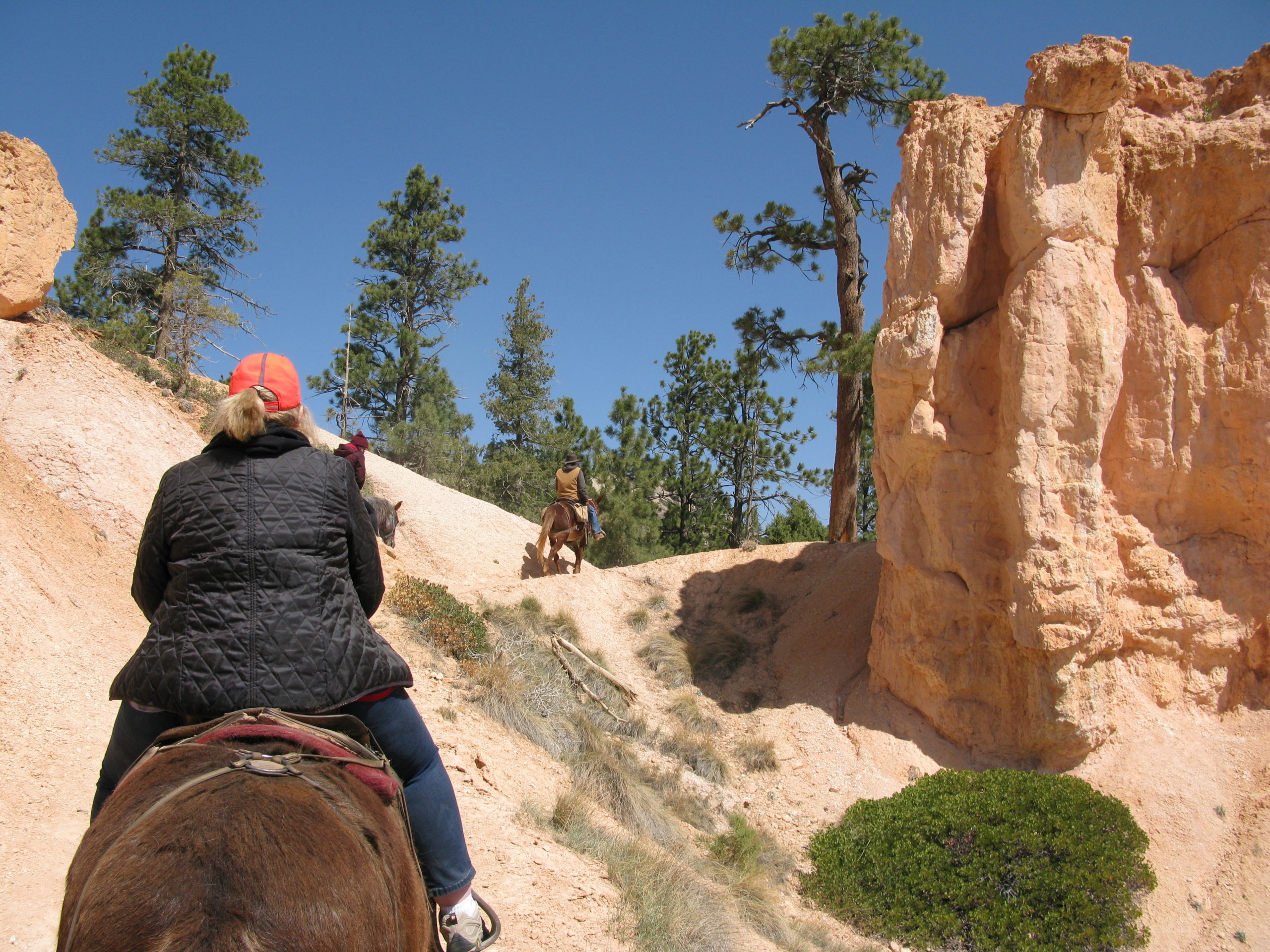 Bryce Canyon Horse Trail