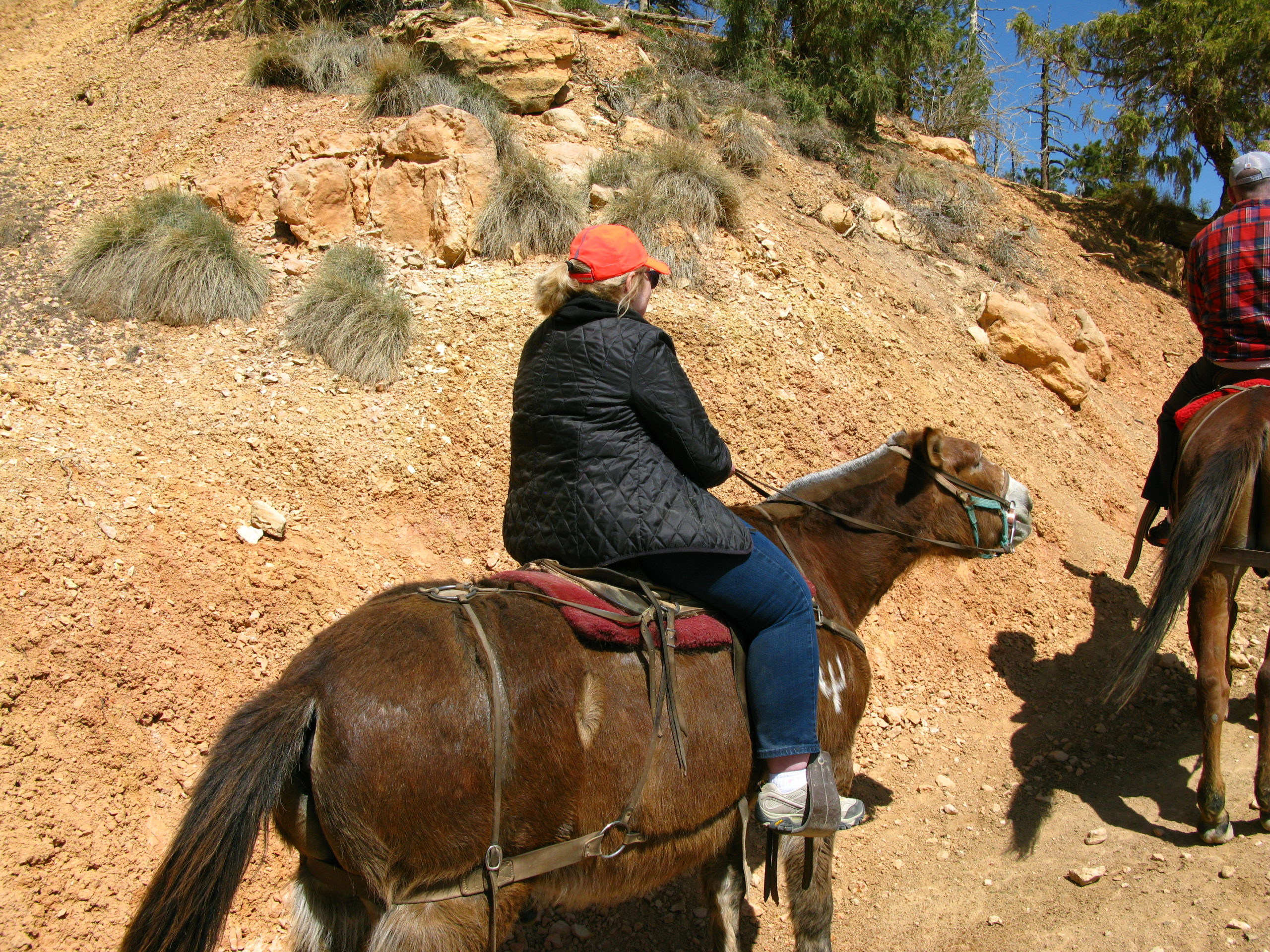 Bryce Canyon Horse Trail