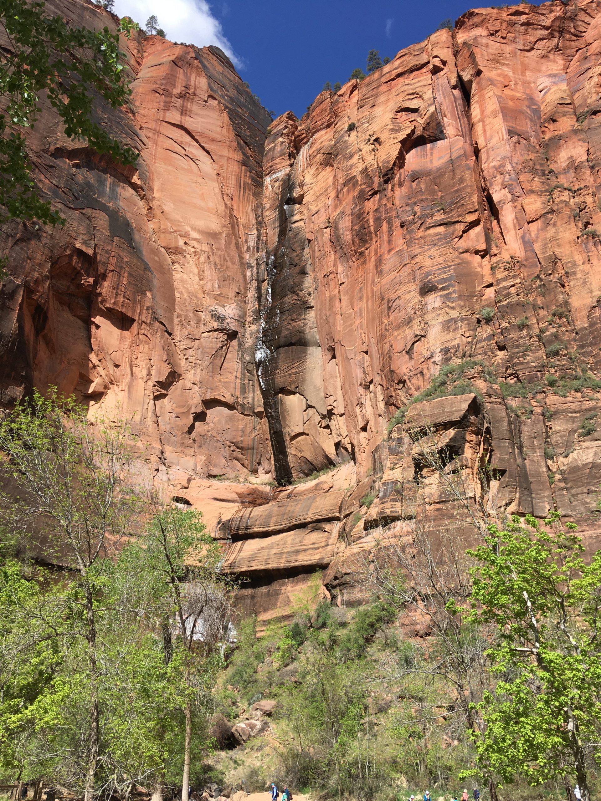 Zion Park Riverside Walk