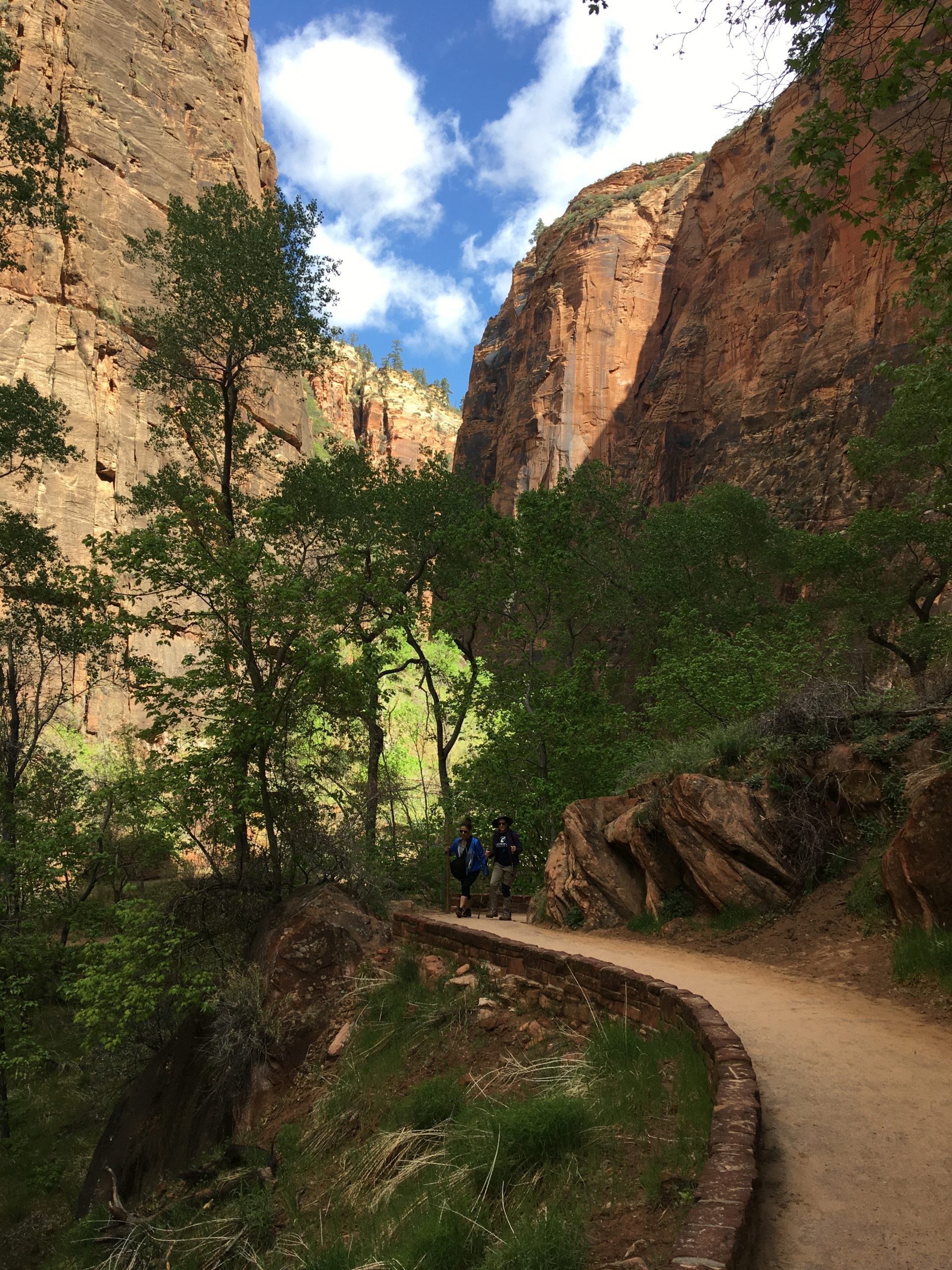 Zion Park Riverside Walk