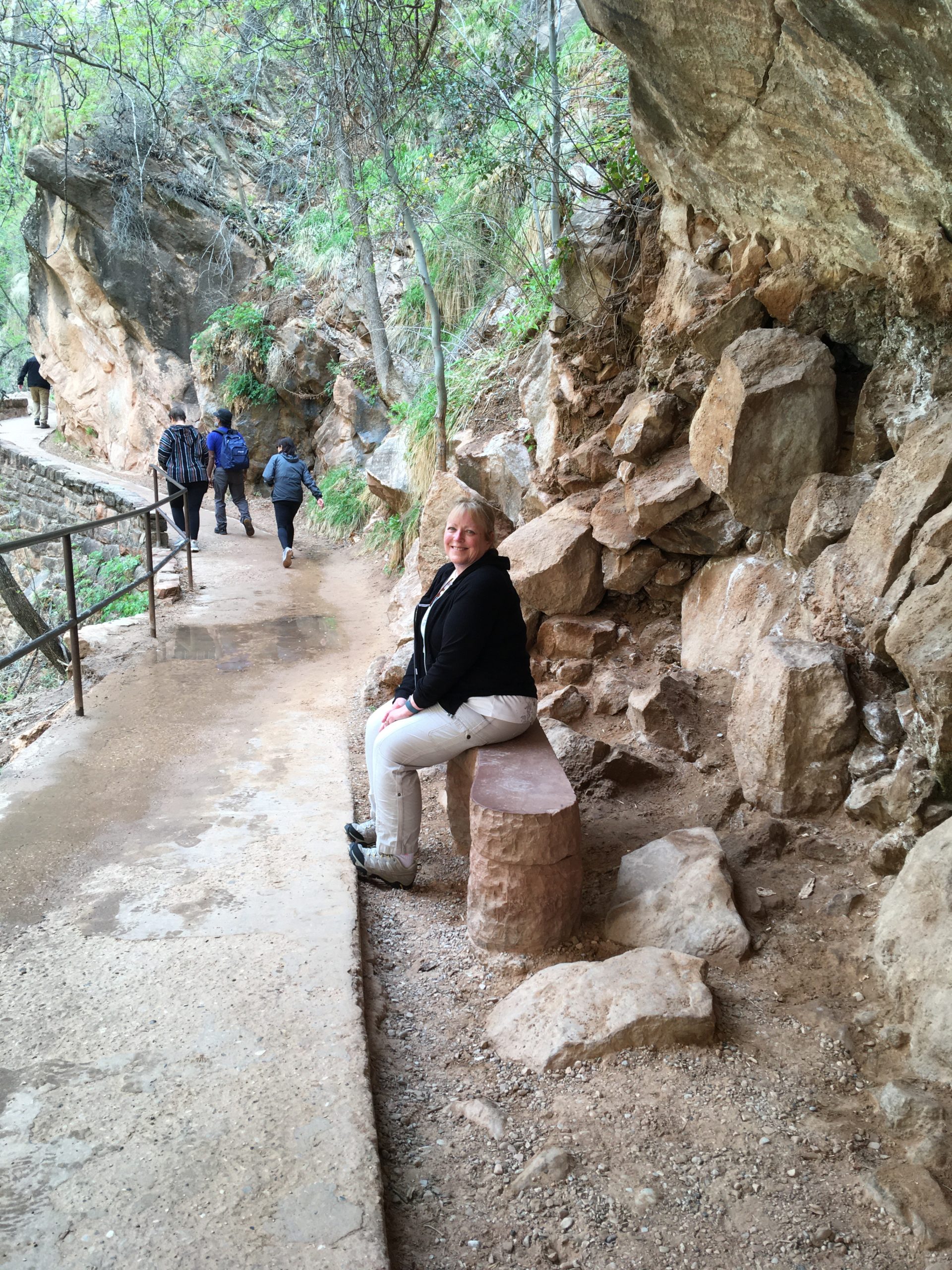 Zion Park Riverside Walk