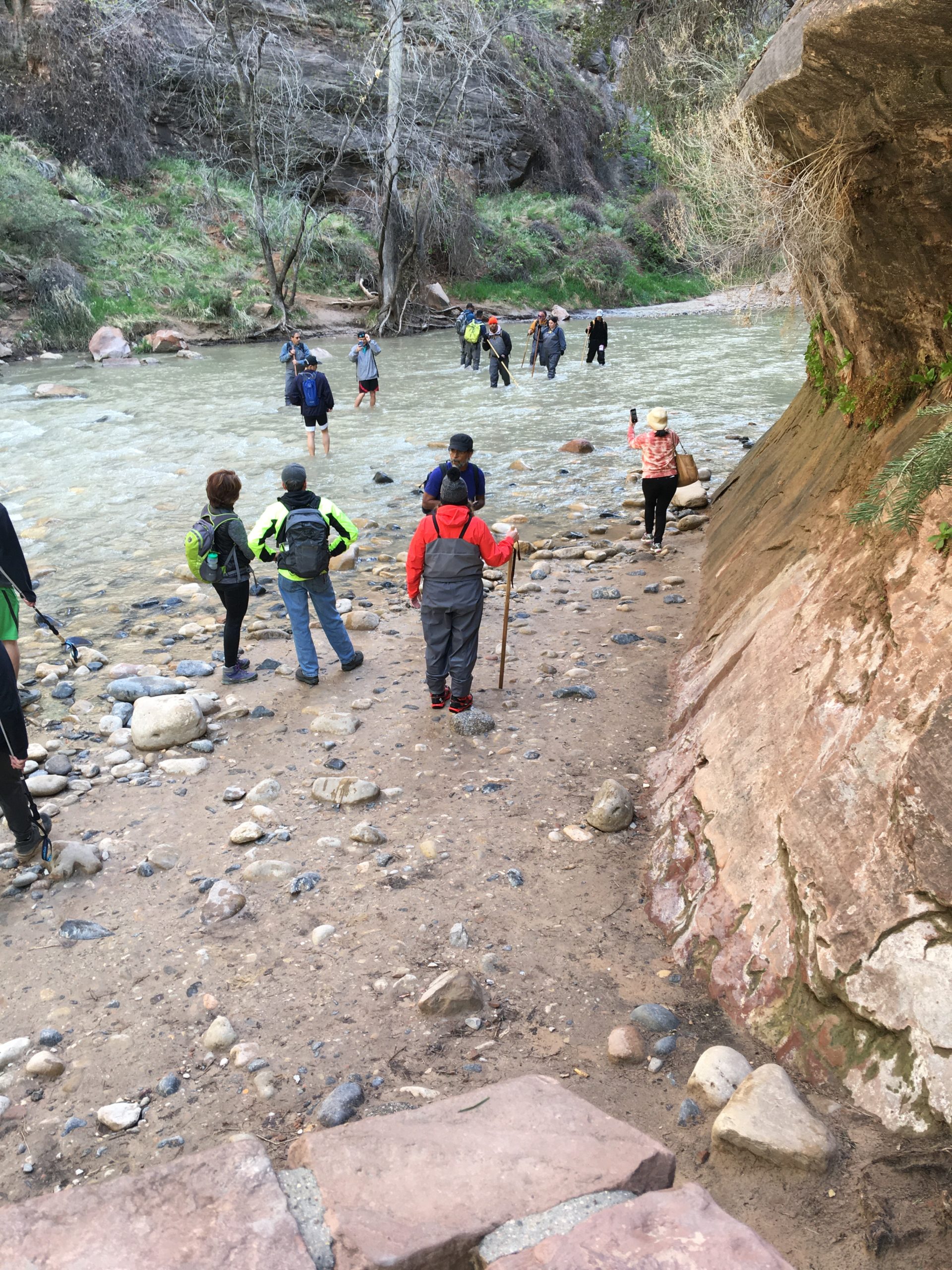 Zion Park Riverside Walk