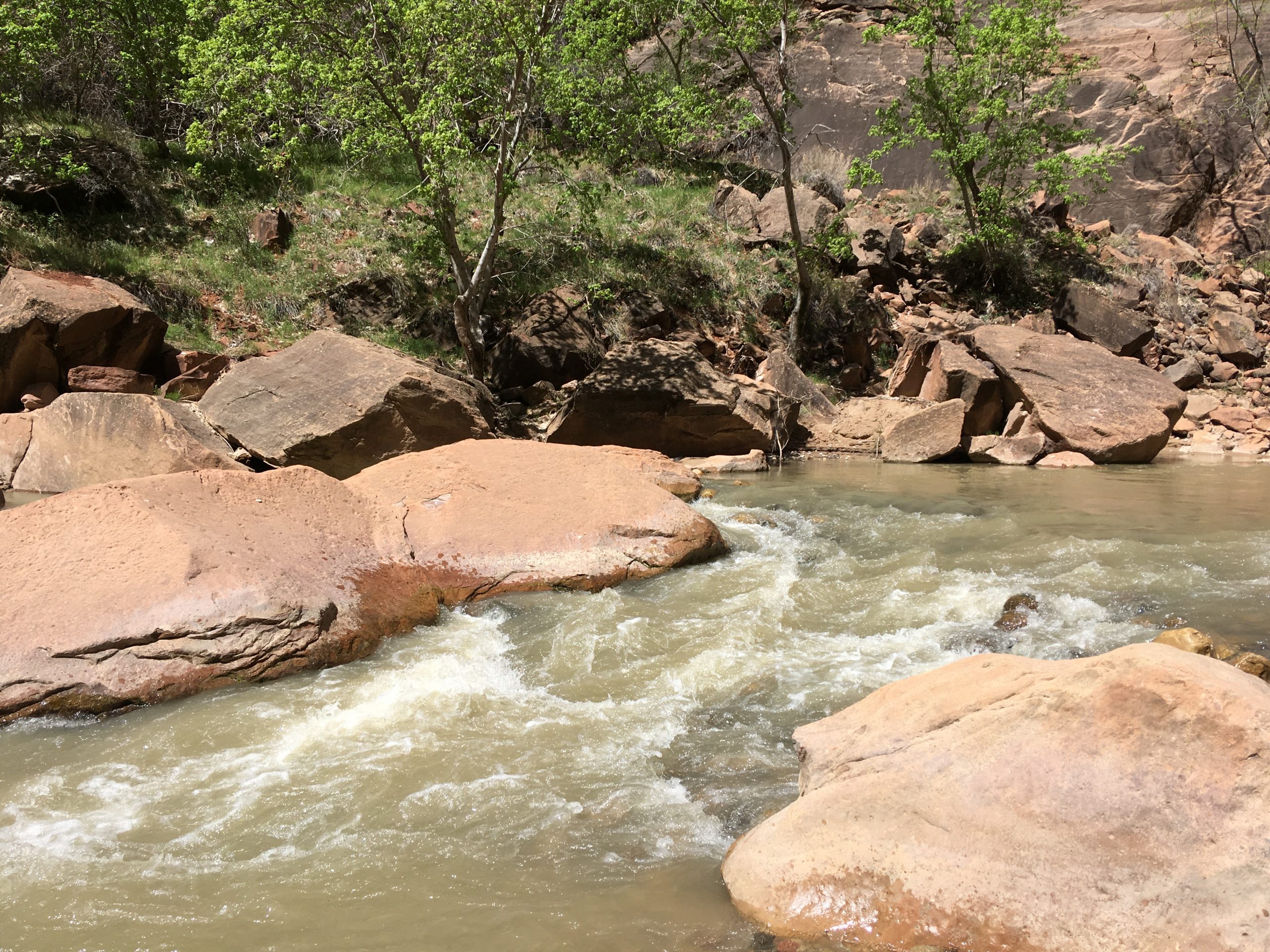 Zion Park Riverside Walk