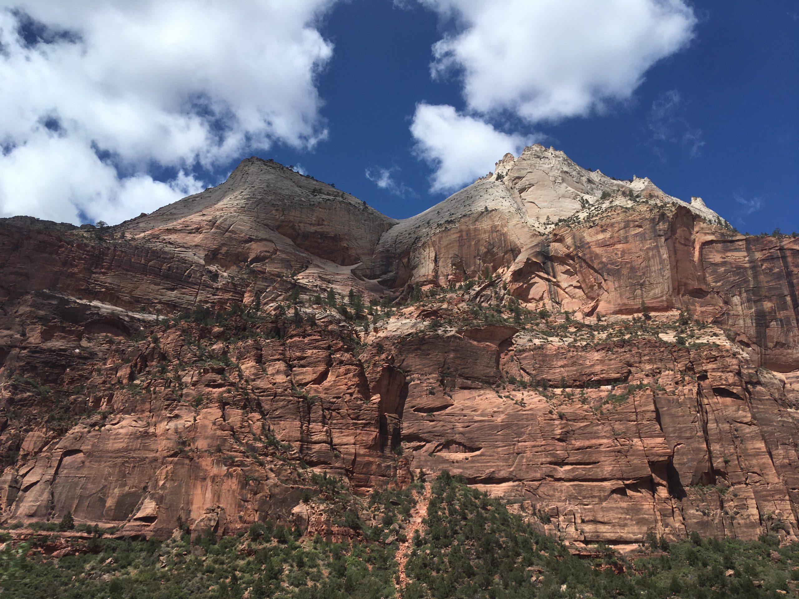 Zion Park Tour