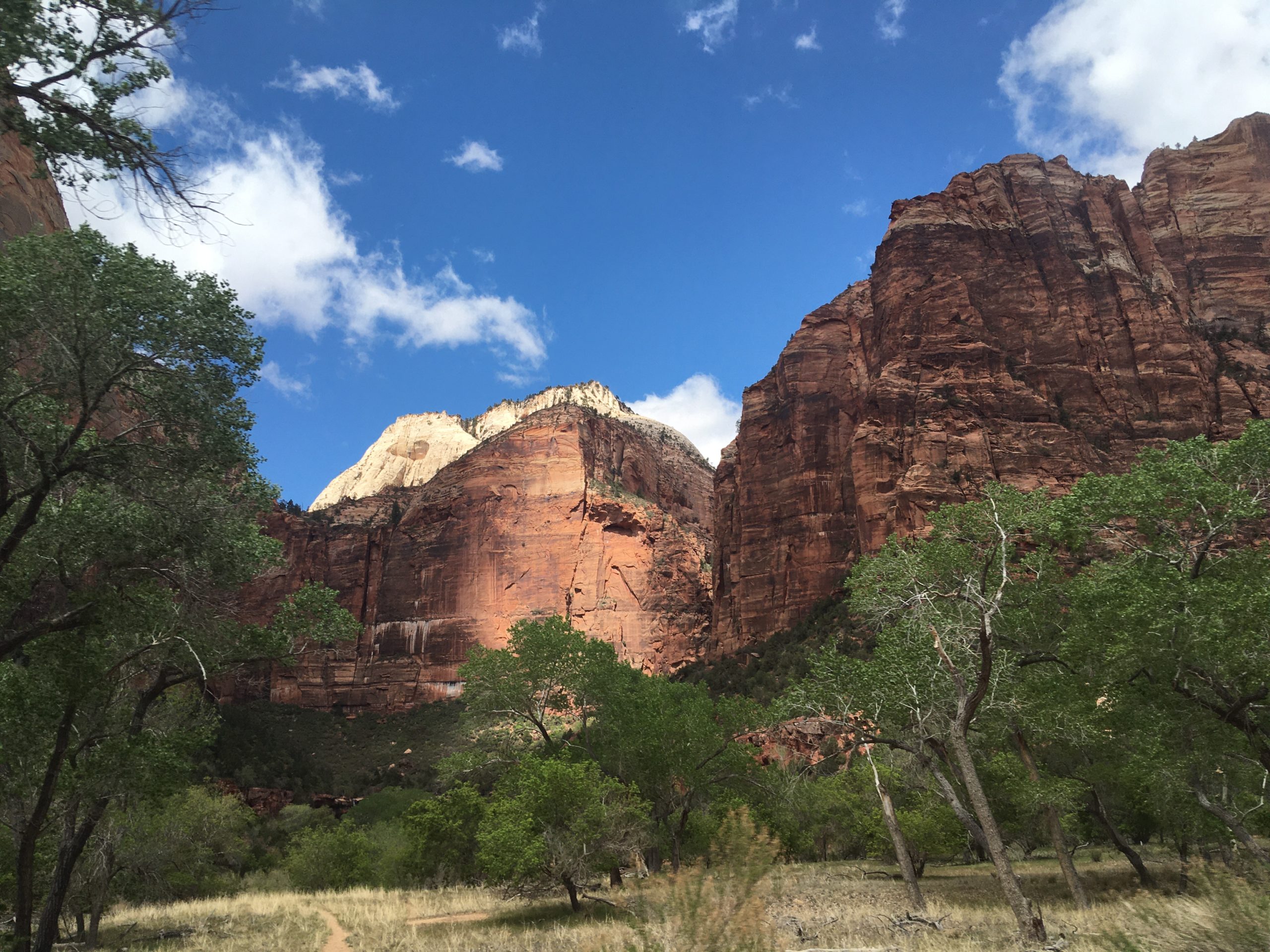Zion Park Tour