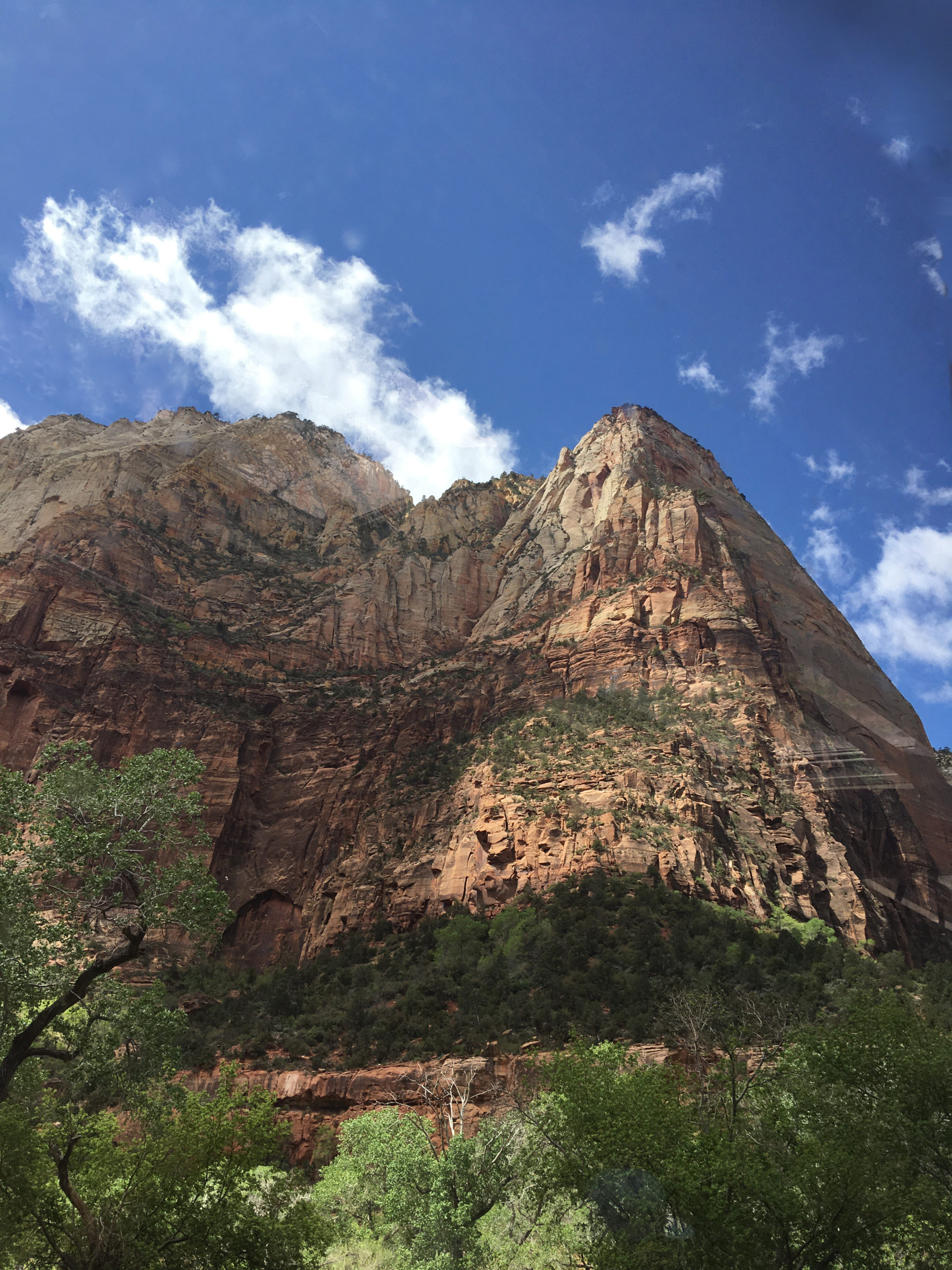 Zion Park Tour