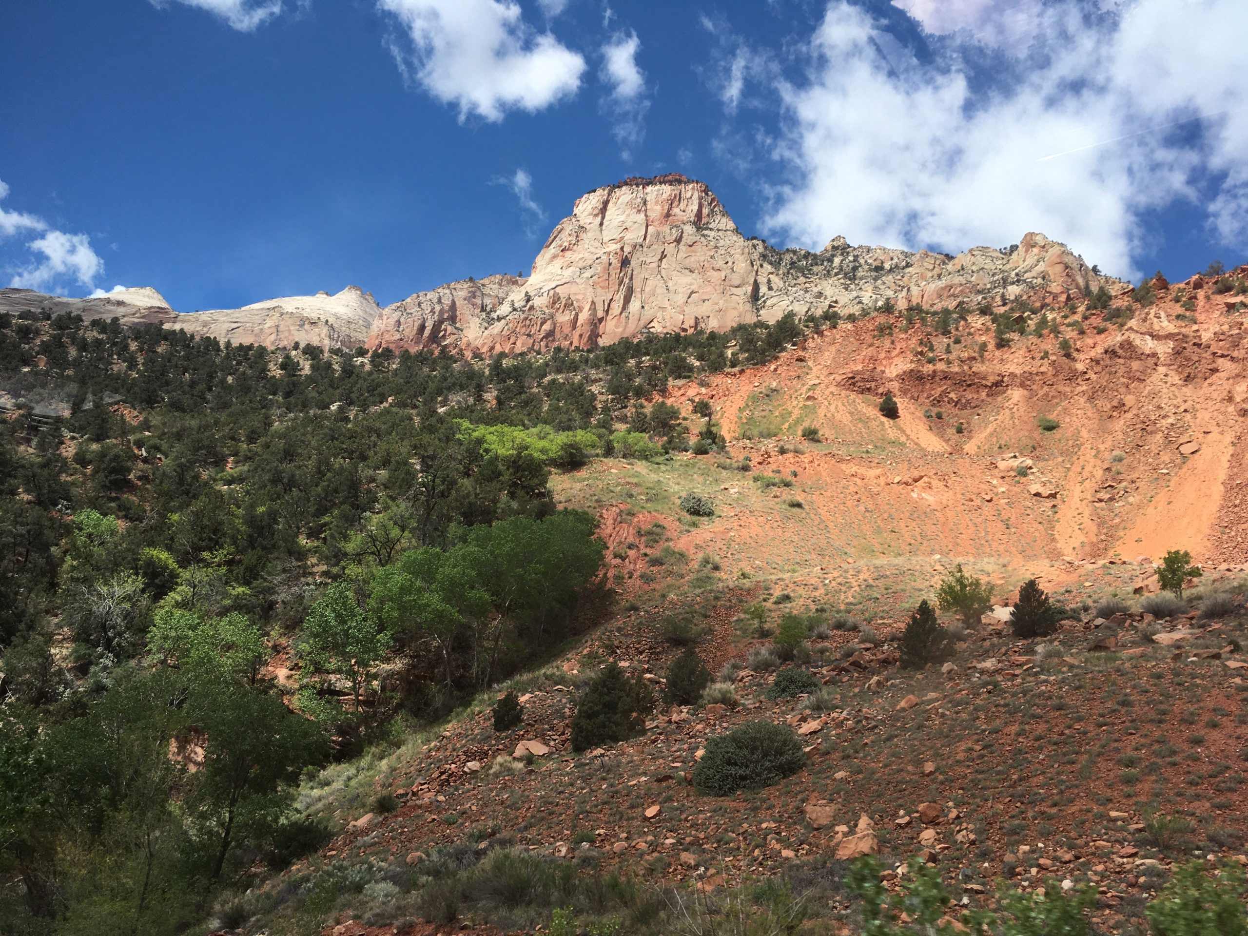 Zion Park Tour