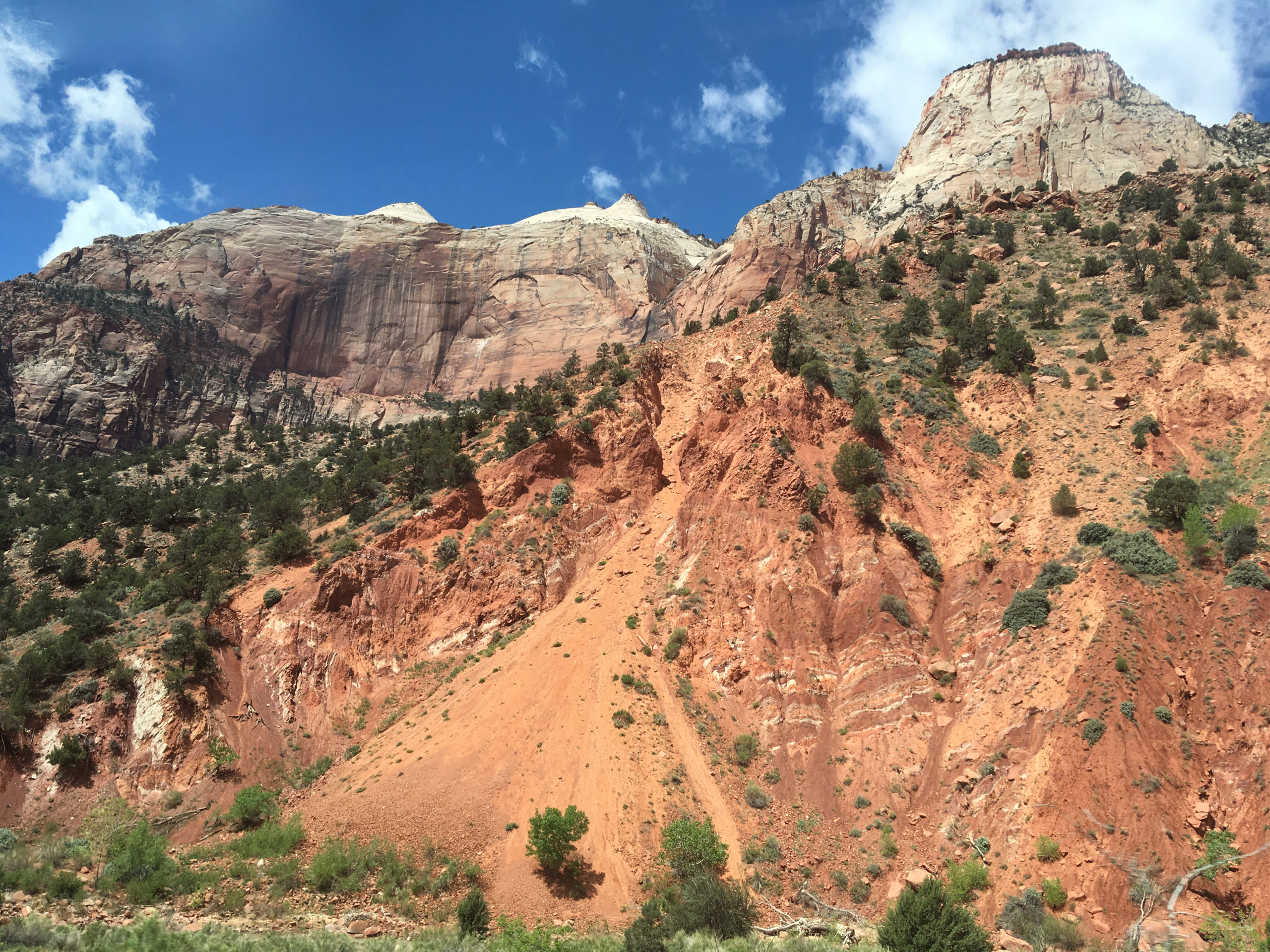 Zion Park Tour