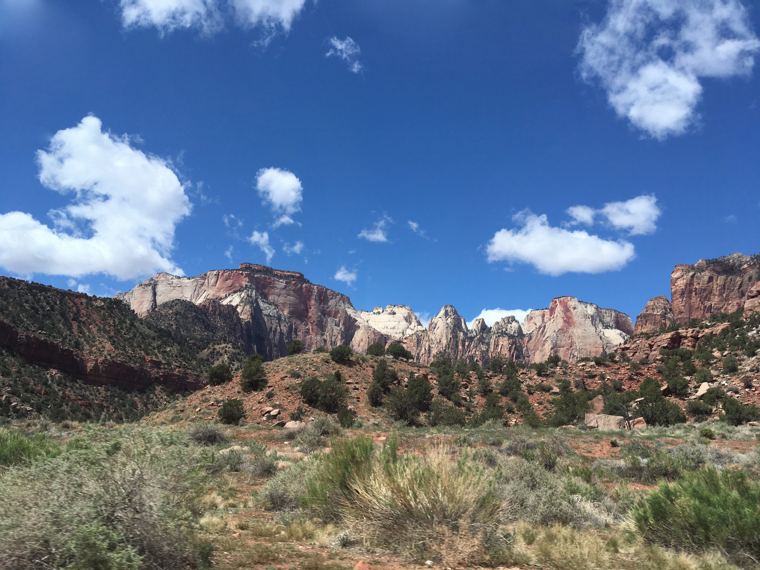 Zion Park Tour