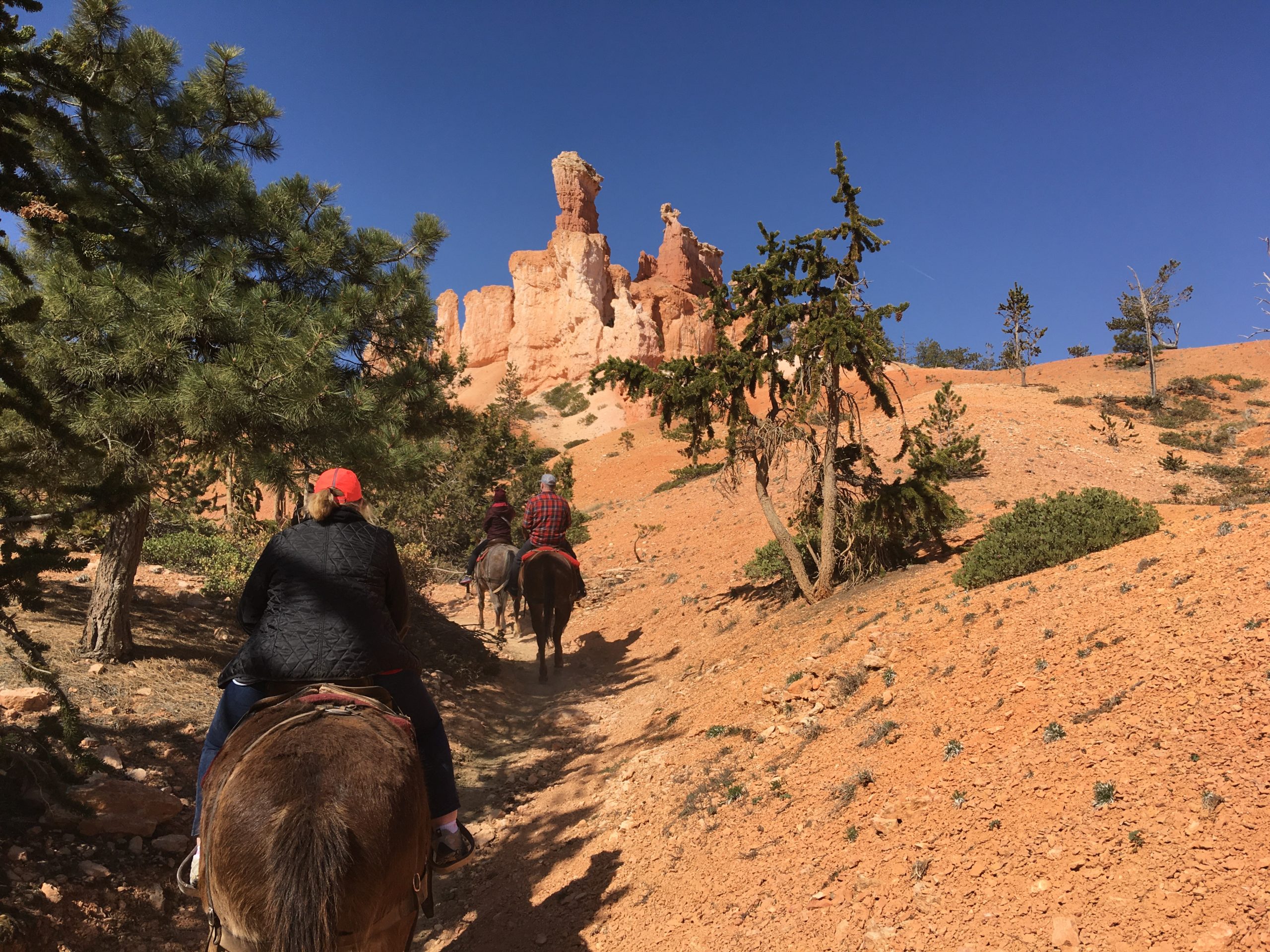 Bryce Canyon Horse Trail