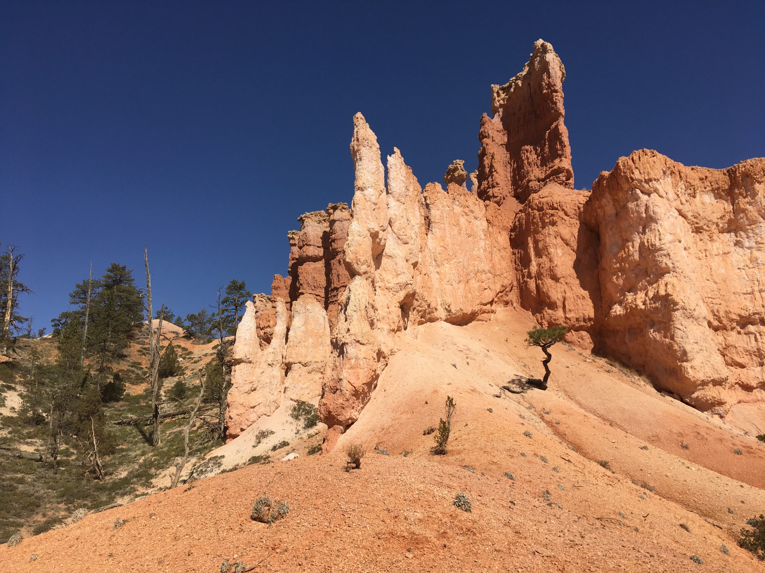 Bryce Canyon Horse Trail