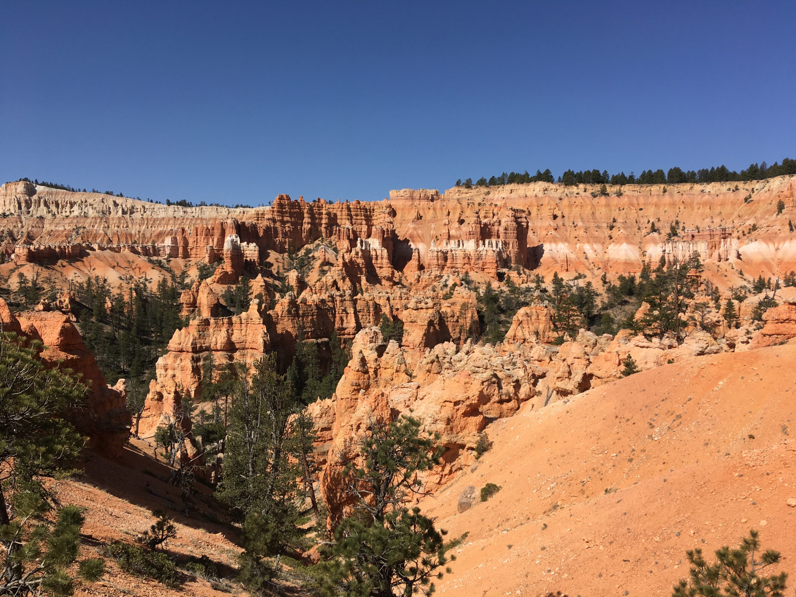 Bryce Canyon Horse Trail
