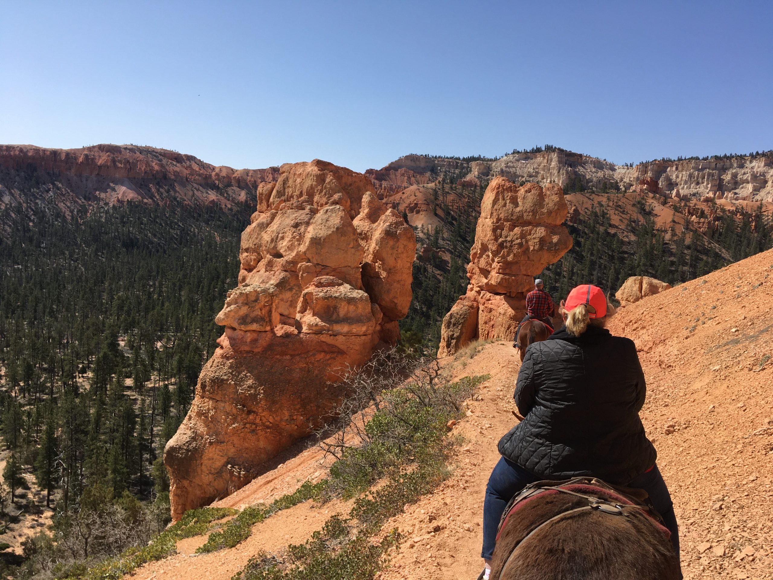 Bryce Canyon Horse Trail