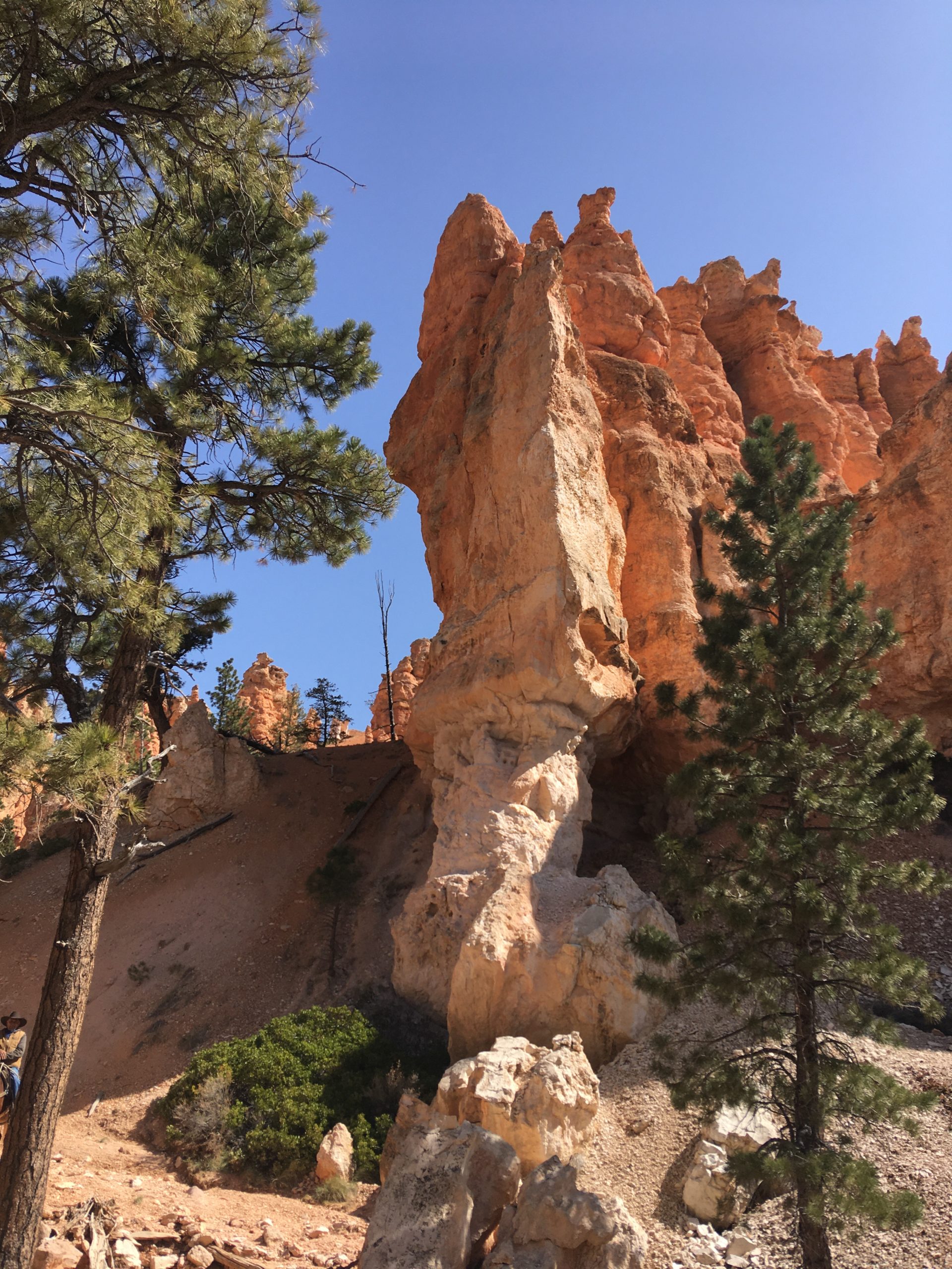 Bryce Canyon Horse Trail