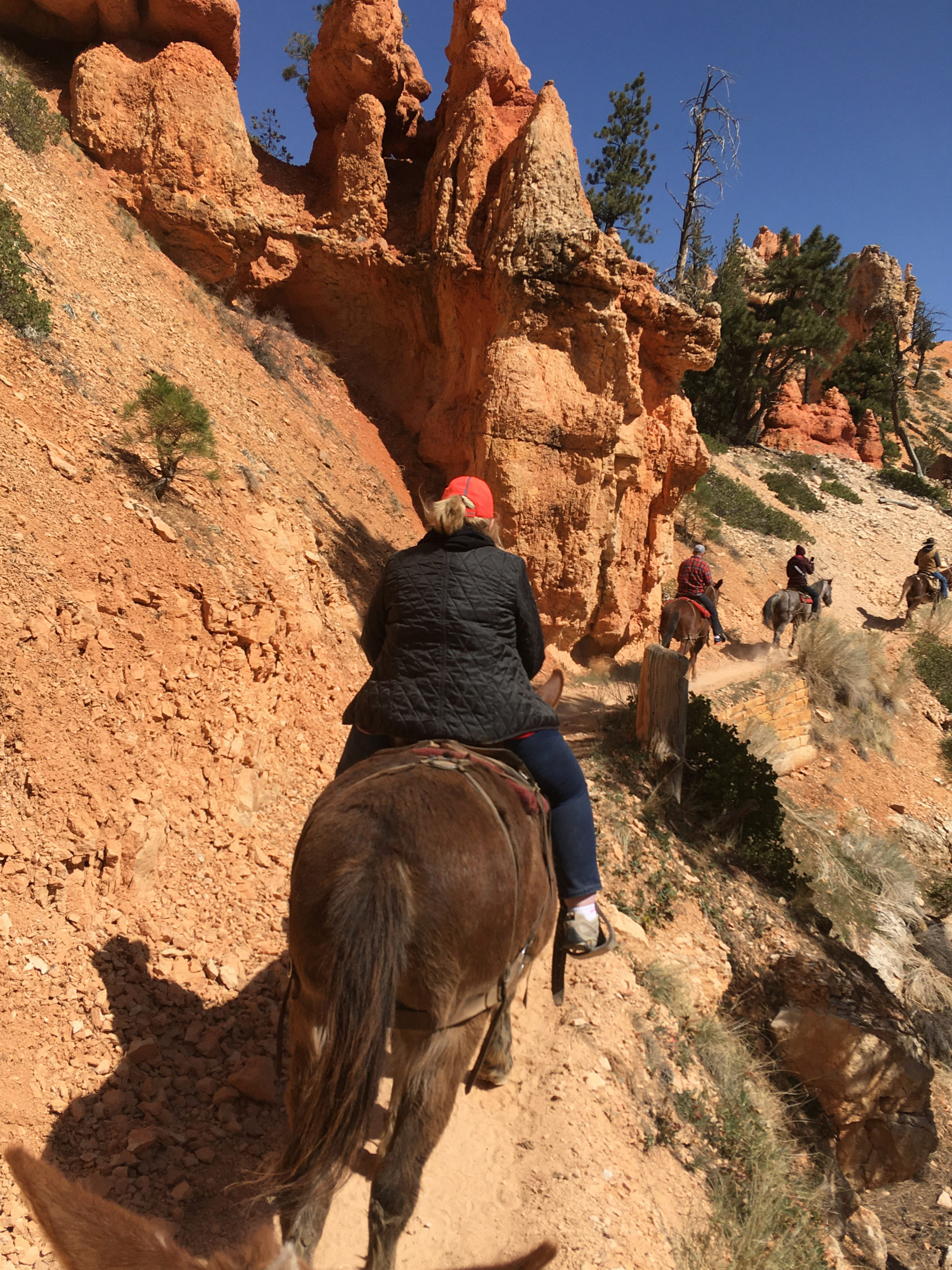Bryce Canyon Horse Trail