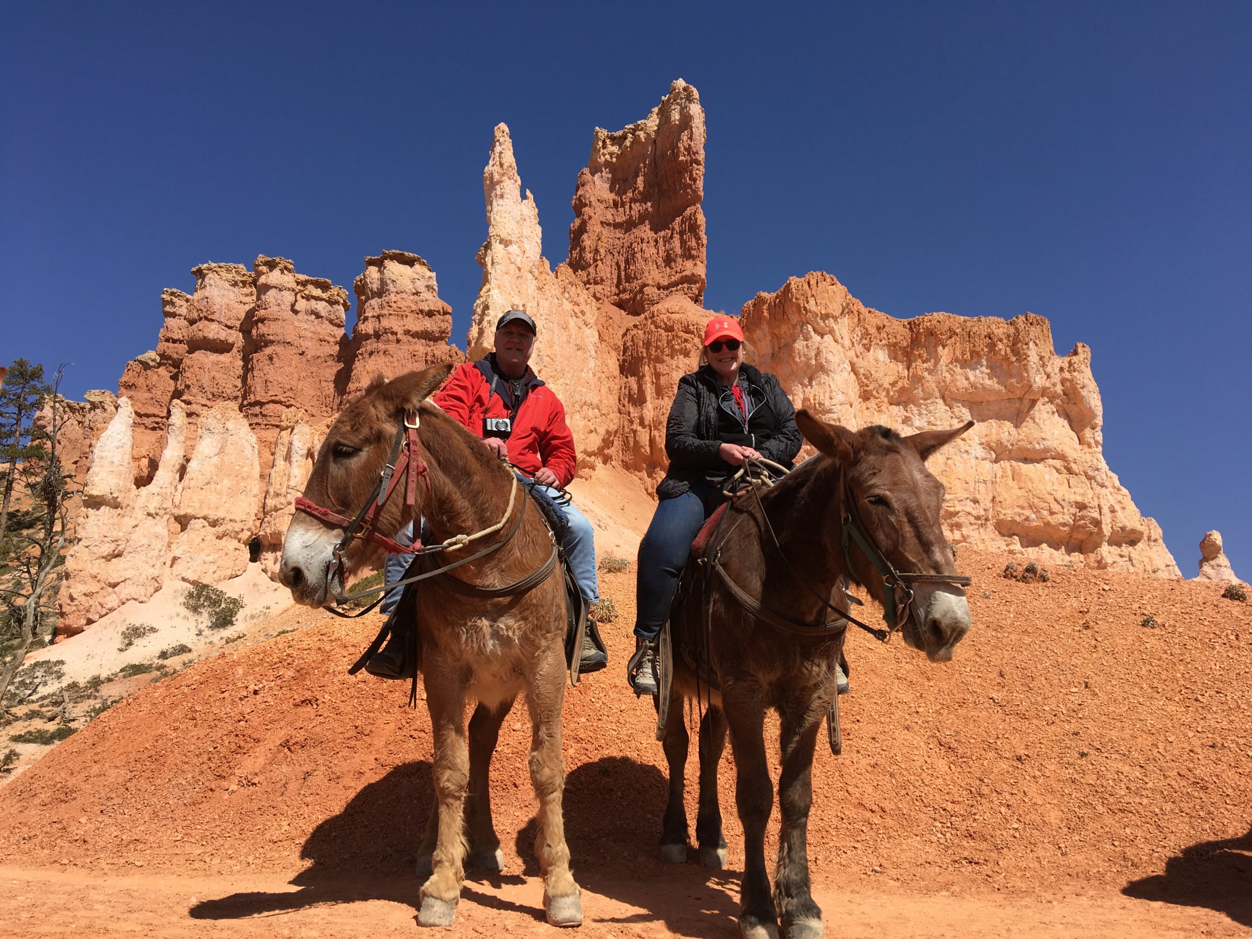 Bryce Canyon Horse Trail