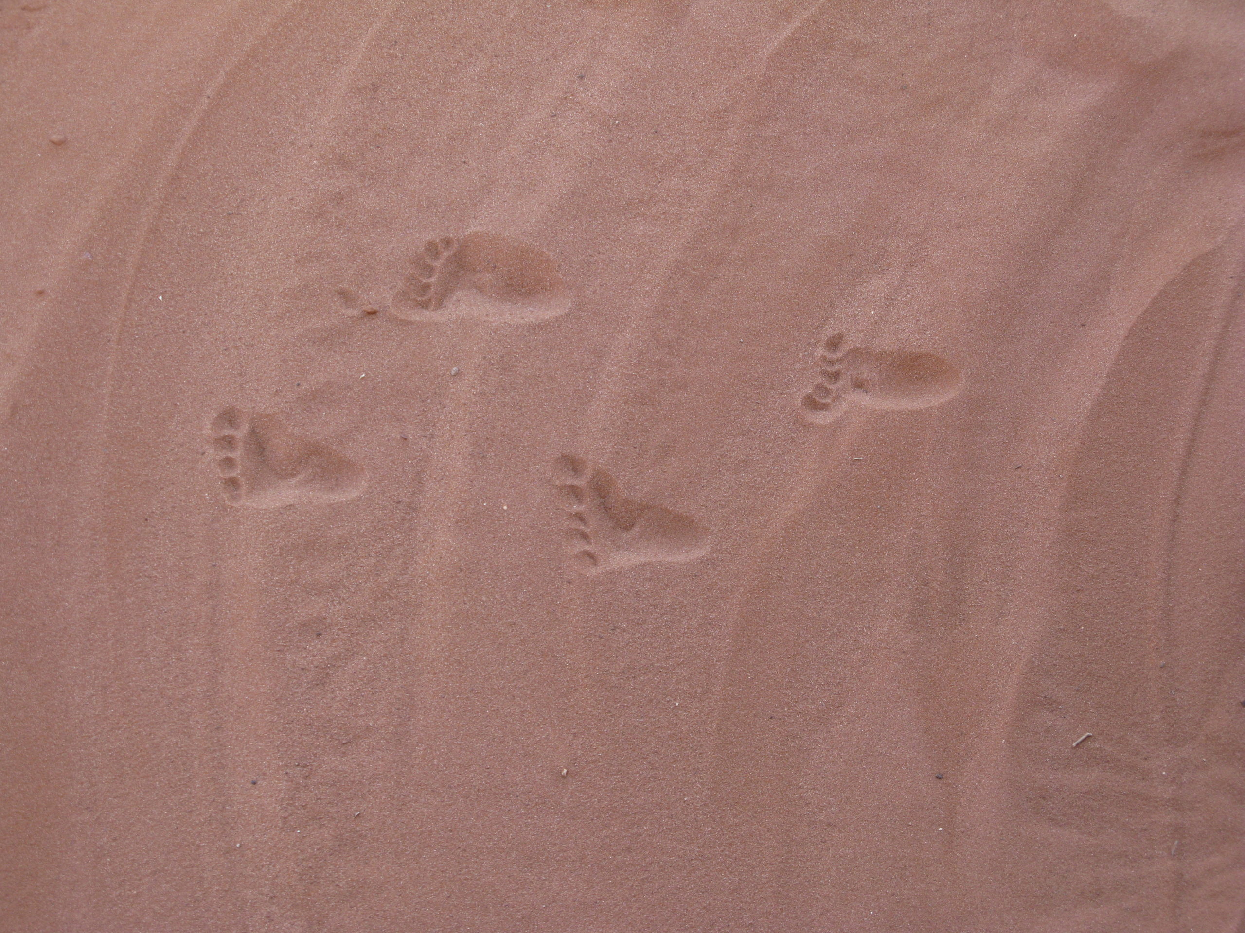 Monument Valley Tour: Joseph's Baby Feet Story