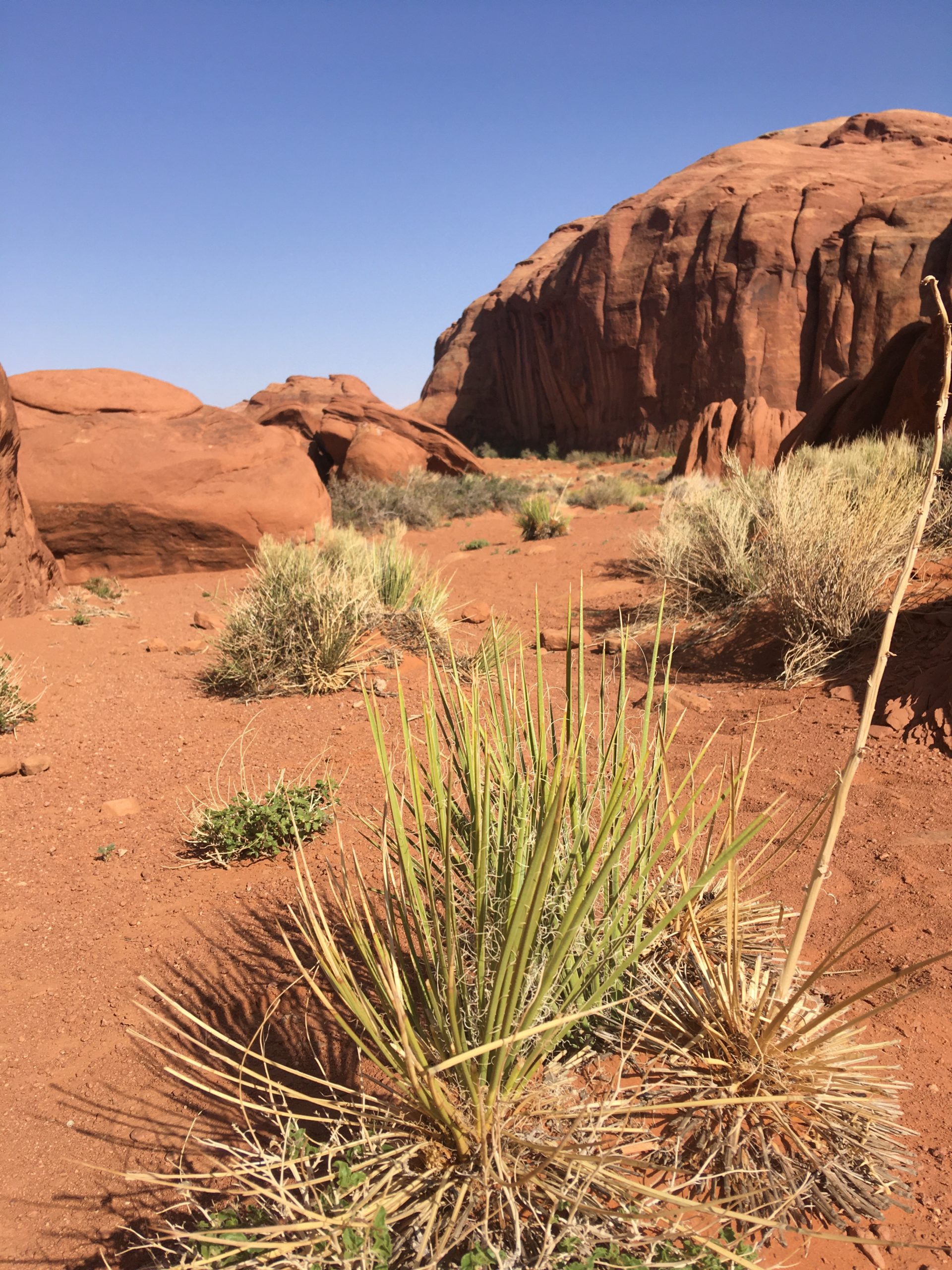 Monument Valley Tour