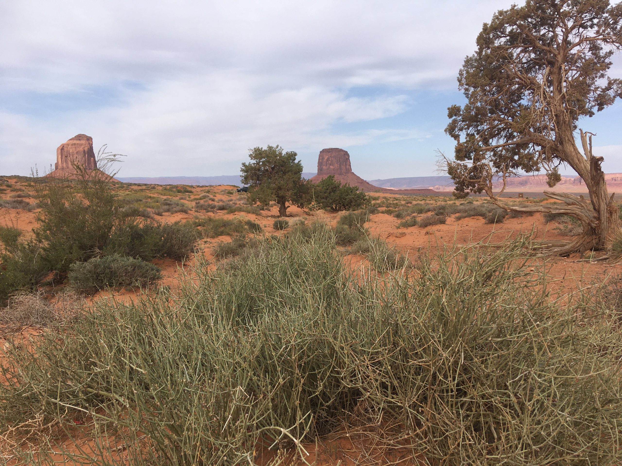 Monument Valley: A View from The View