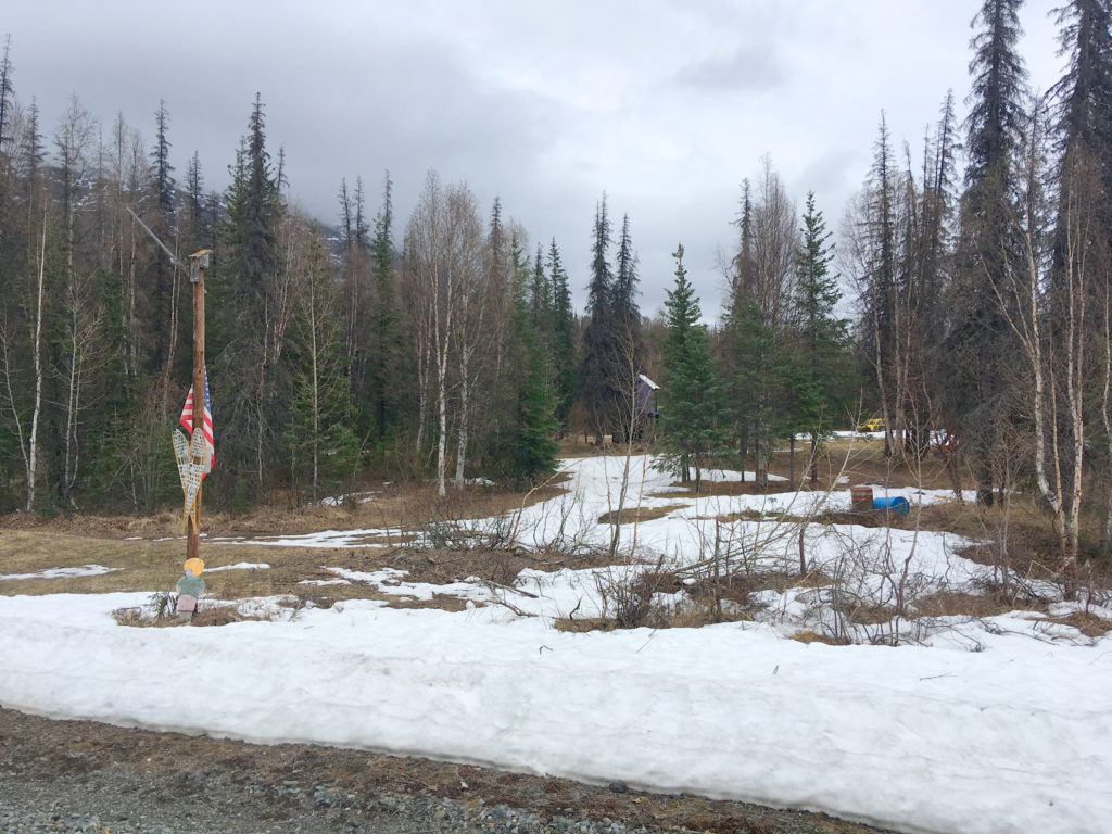 Alaska Rail to Denali Princess Wilderness Lodge Flag Stop
