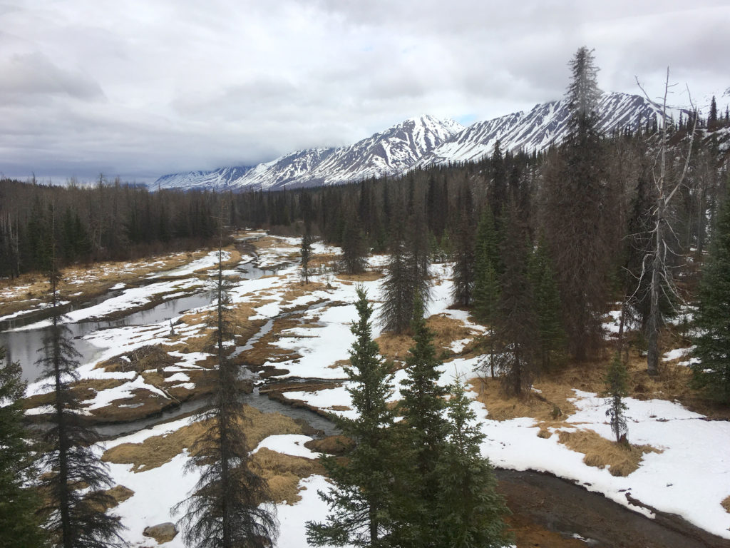 Alaska Railways from Whittier to Denali Princess Wilderness Lodge
