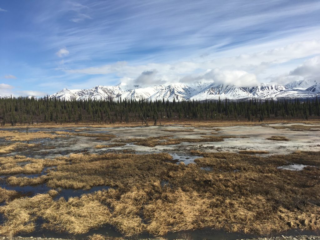Alaska Railways from Whittier to Denali Princess Wilderness Lodge