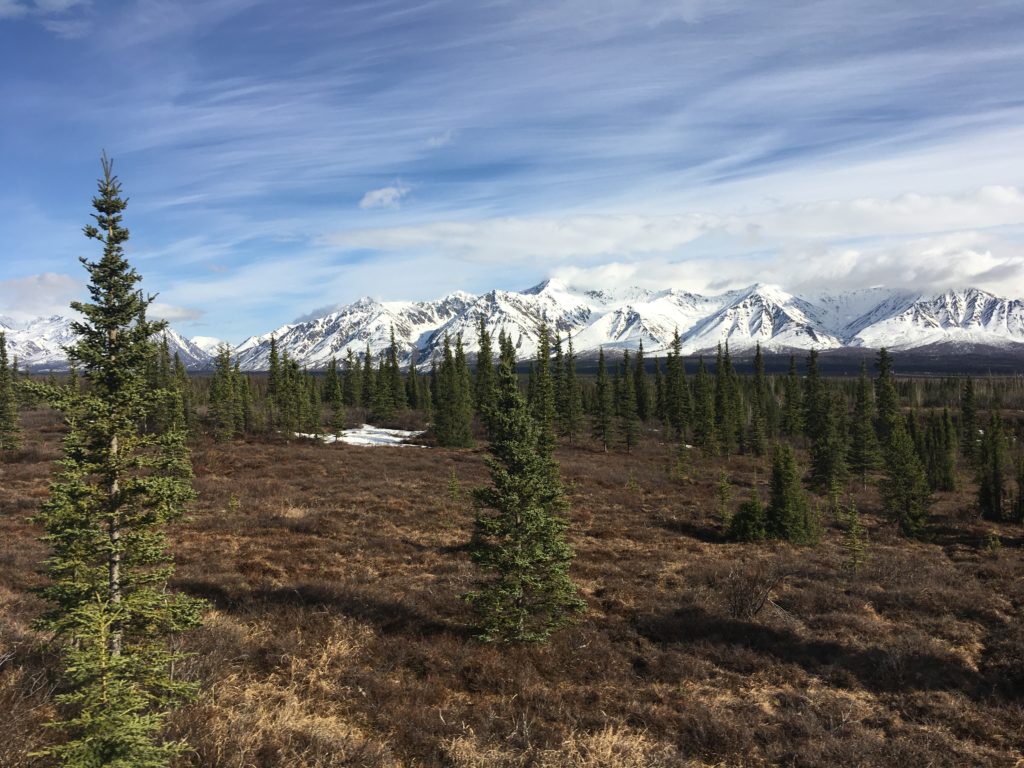 Alaska Railways from Whittier to Denali Princess Wilderness Lodge