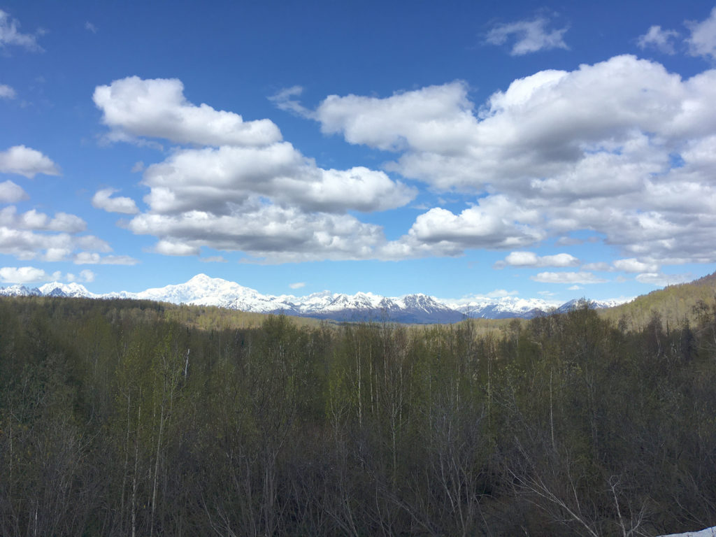 View of Mountains at McKinley Princess Wilderness Lodge