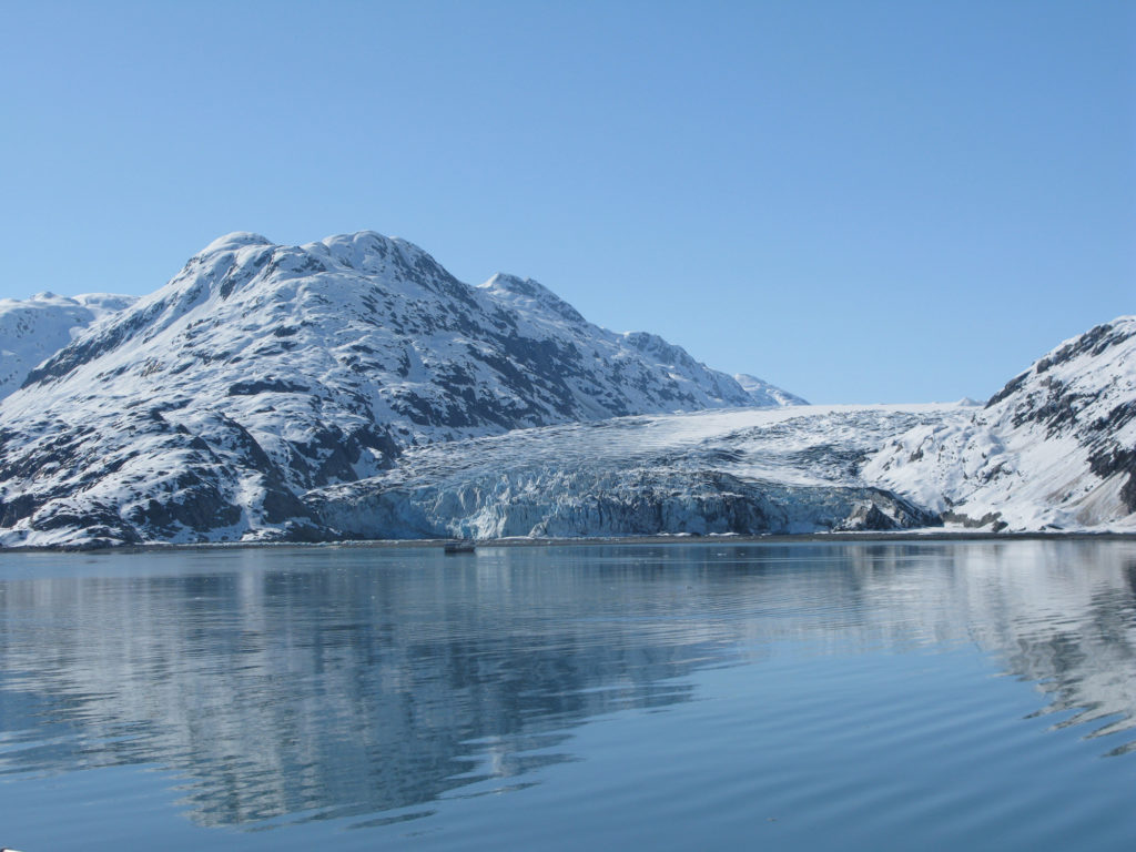 Glacier Bay - Lamplugh Glacier