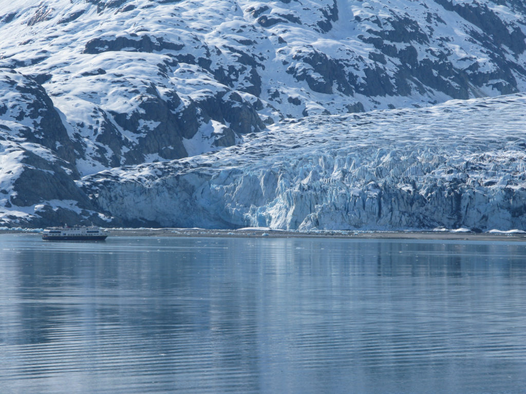 Glacier Bay - Lamplugh Glacier