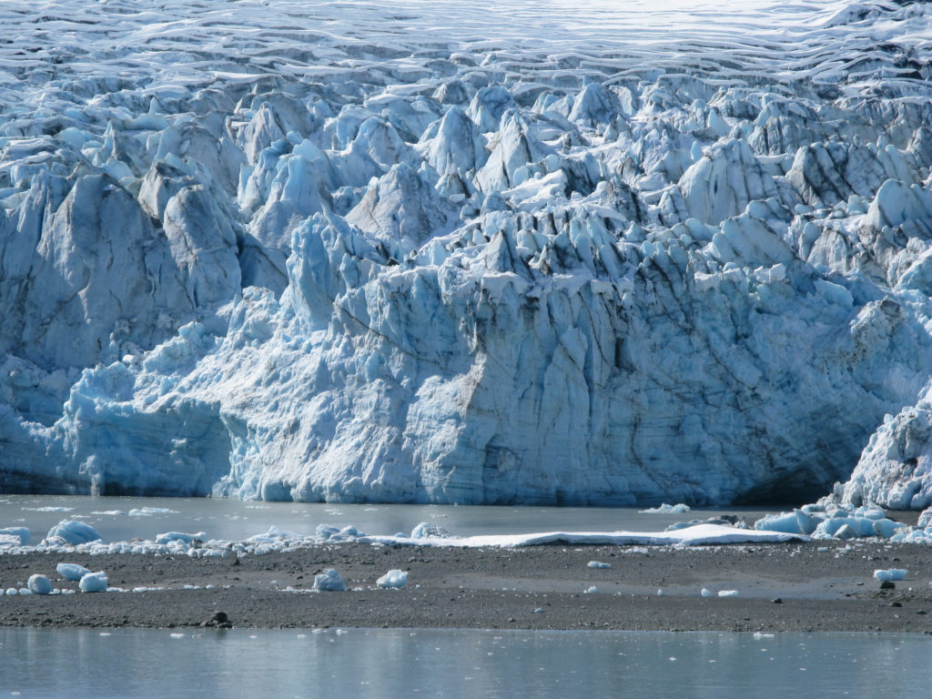 Glacier Bay - Lamplugh Glacier
