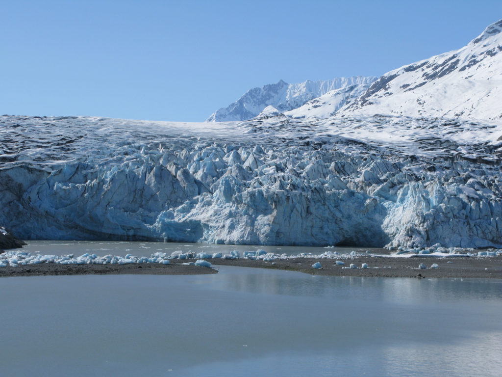Glacier Bay - Lamplugh Glacier