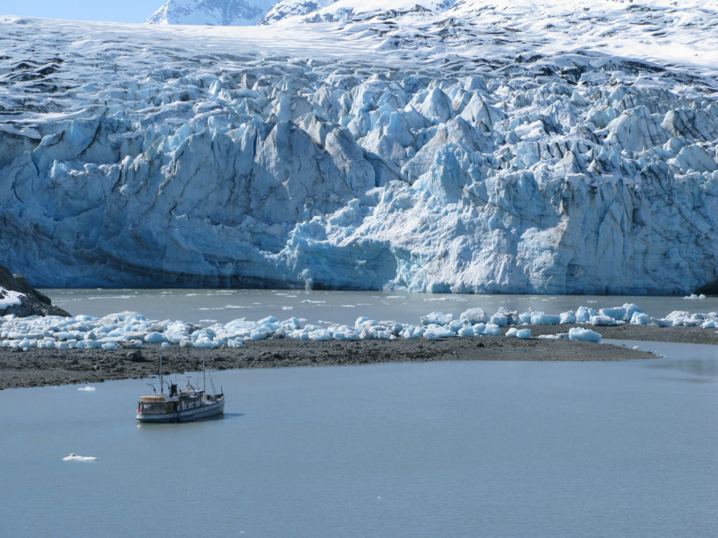 Glacier Bay - Lamplugh Glacier