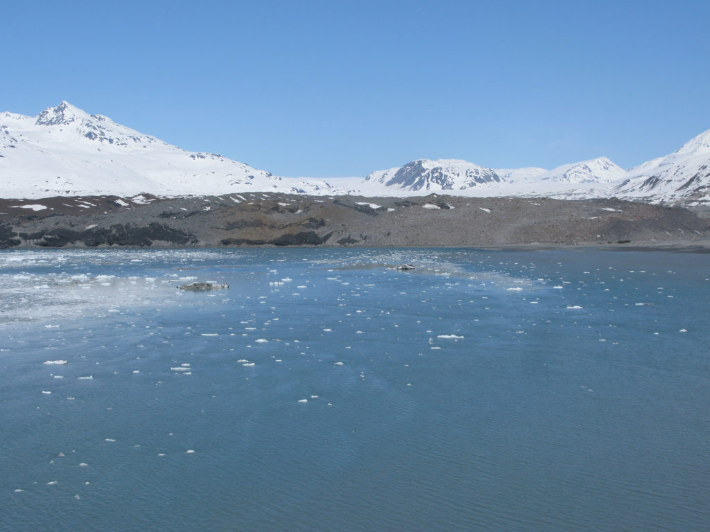 Glacier Bay - Grand Pacific Glacier