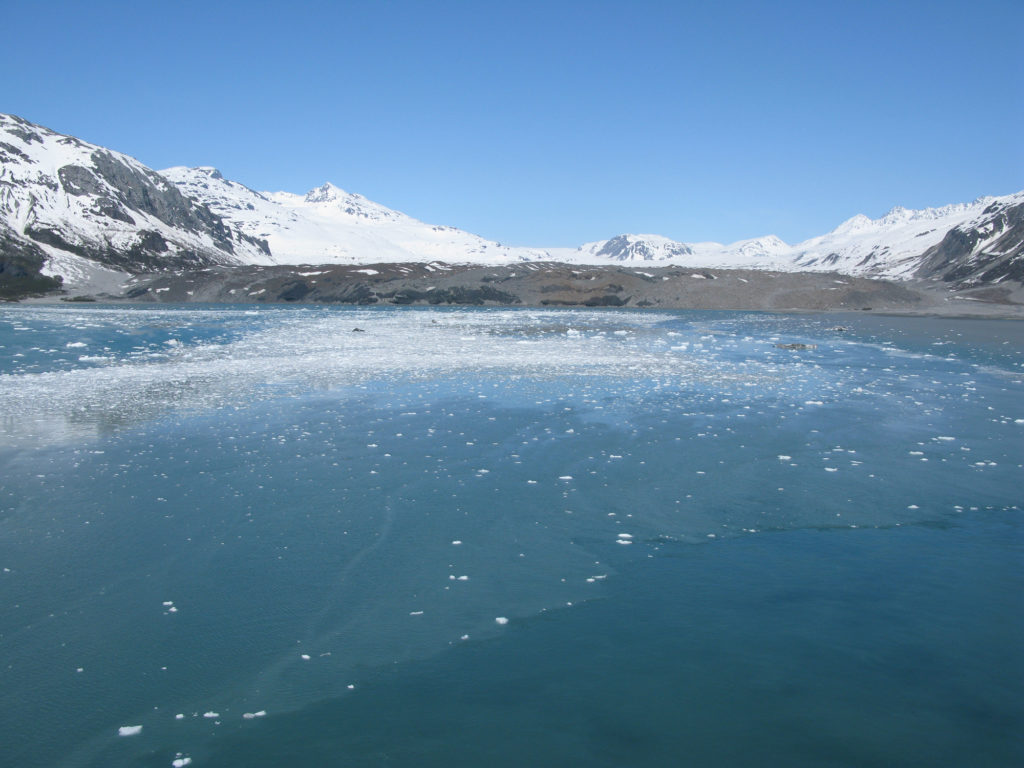 Glacier Bay - Grand Pacific Glacier