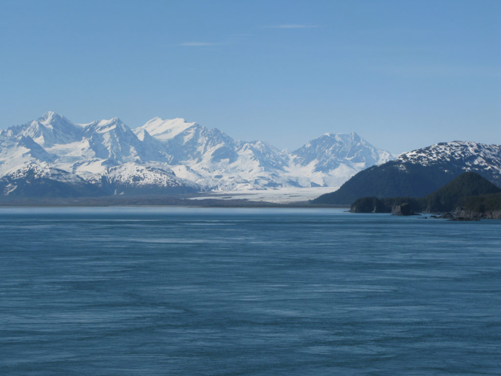 Glacier Bay - Brady Glacier