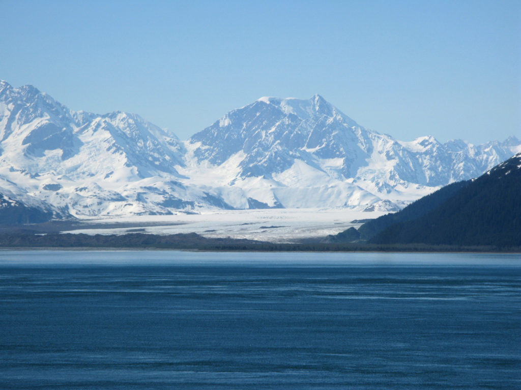 Glacier Bay - Brady Glacier
