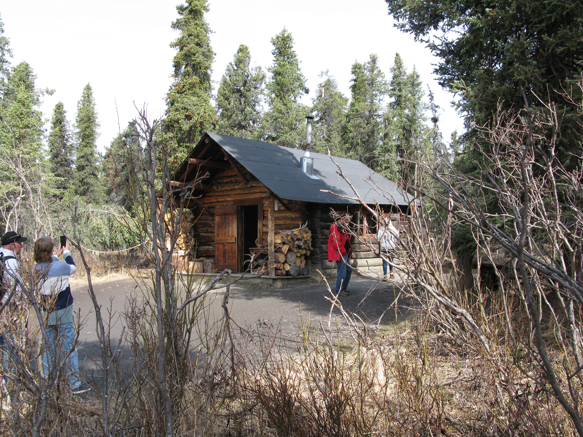 Denali Wilderness Lodge Nature Tour Upper Savage River Cabin