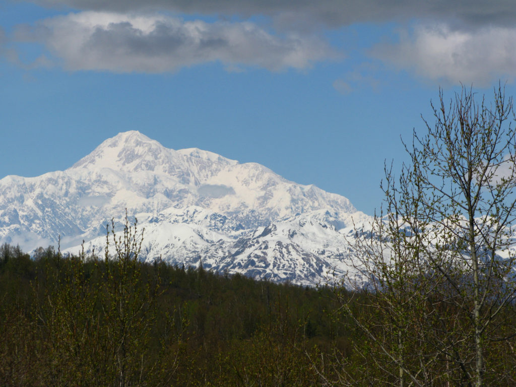View of Mt. Denali at McKinley Princess Wilderness Lodge