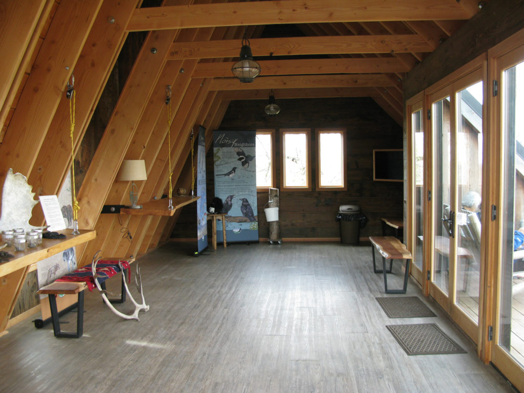 Inside the Treehouse at Mt. McKinley Princess Wilderness Lodge