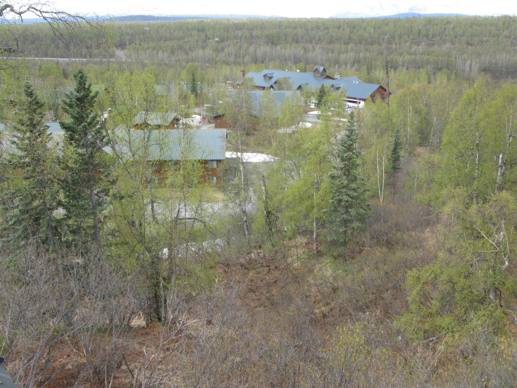 View of Mt. McKinley Princess Wilderness Lodge from the Treehouse