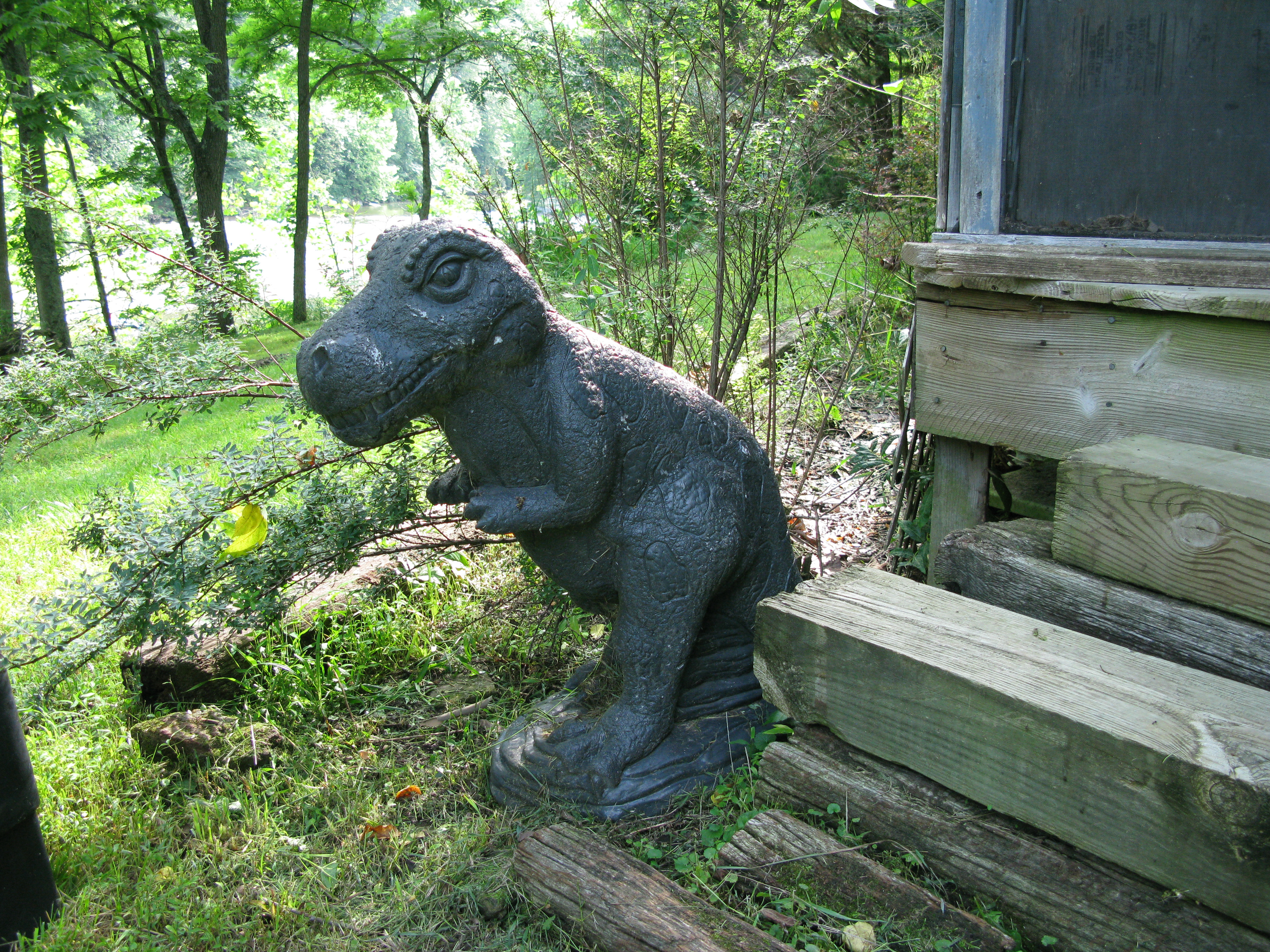 West Virginia Cabin - T Rex