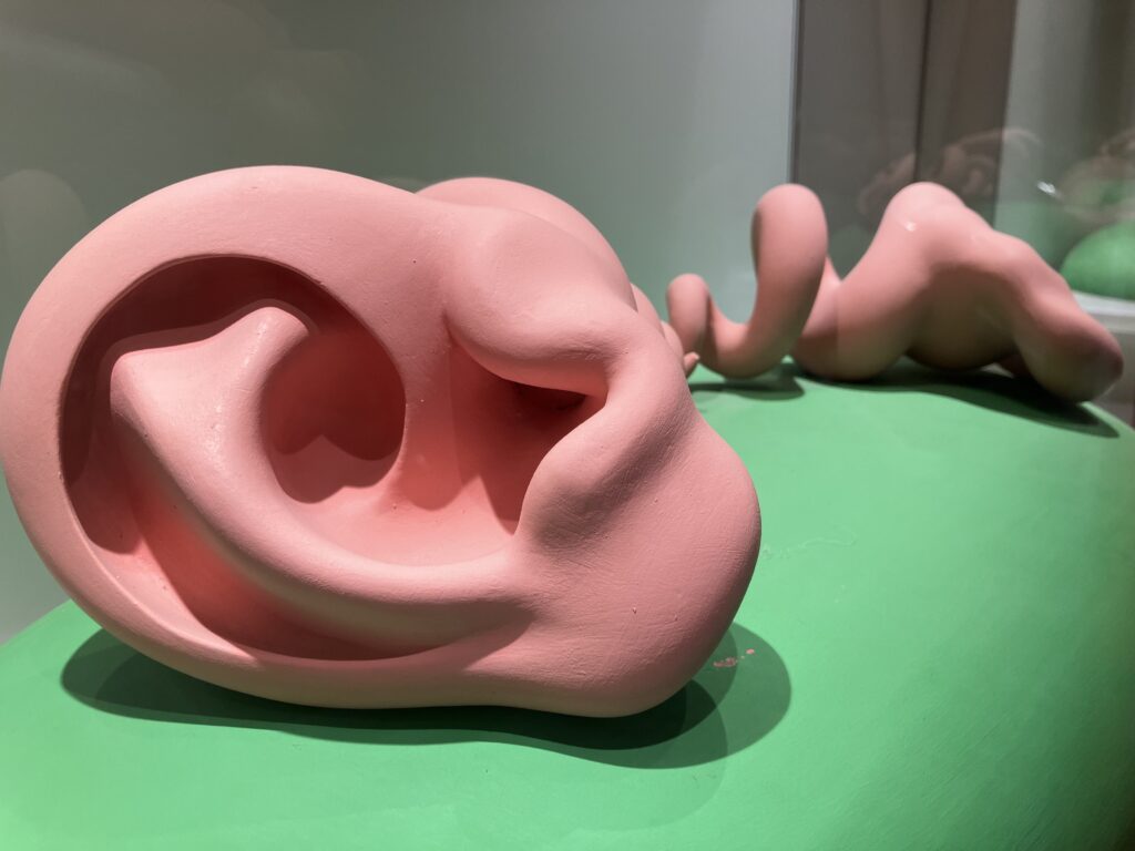 Ship Ear Sculpture